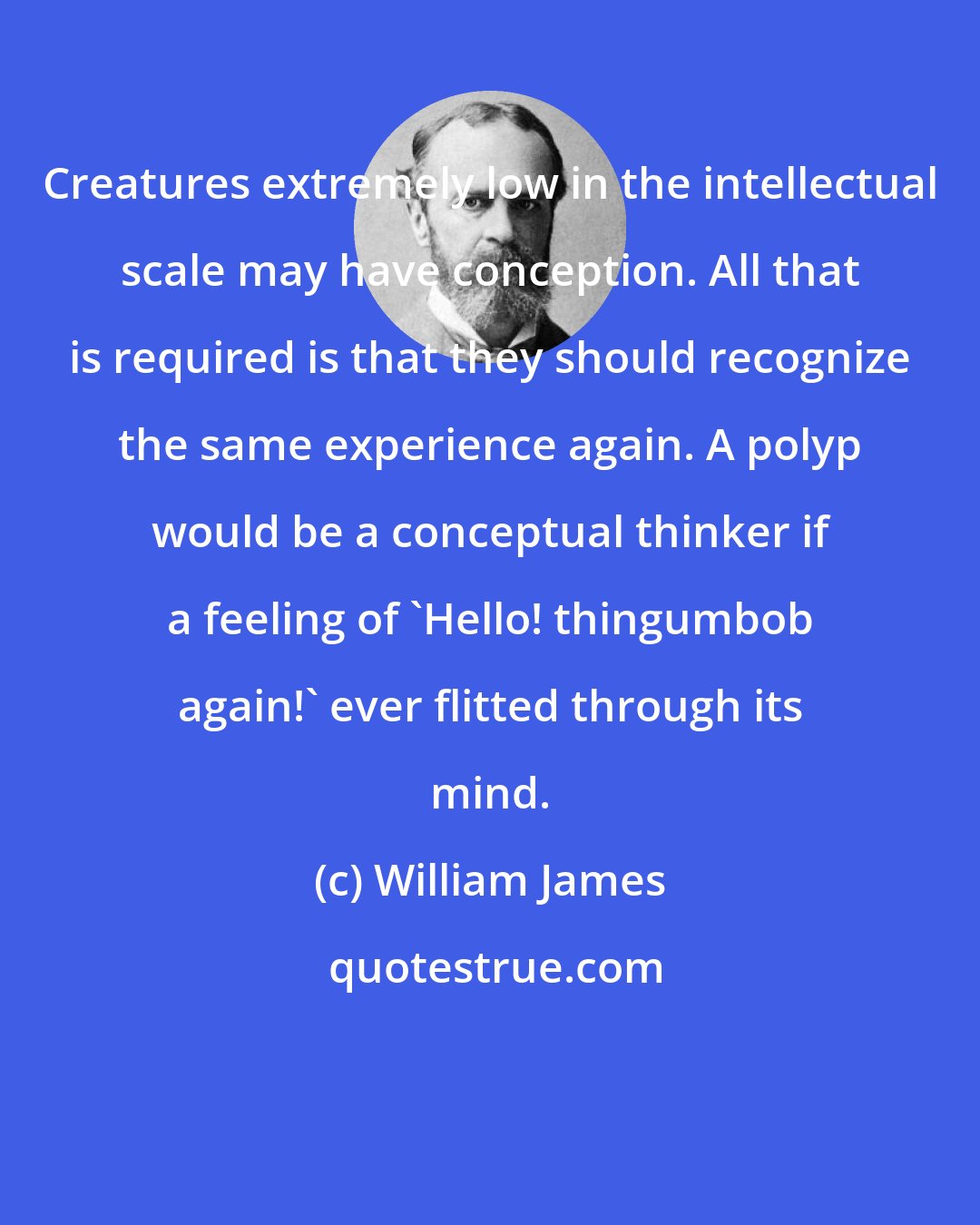 William James: Creatures extremely low in the intellectual scale may have conception. All that is required is that they should recognize the same experience again. A polyp would be a conceptual thinker if a feeling of 'Hello! thingumbob again!' ever flitted through its mind.