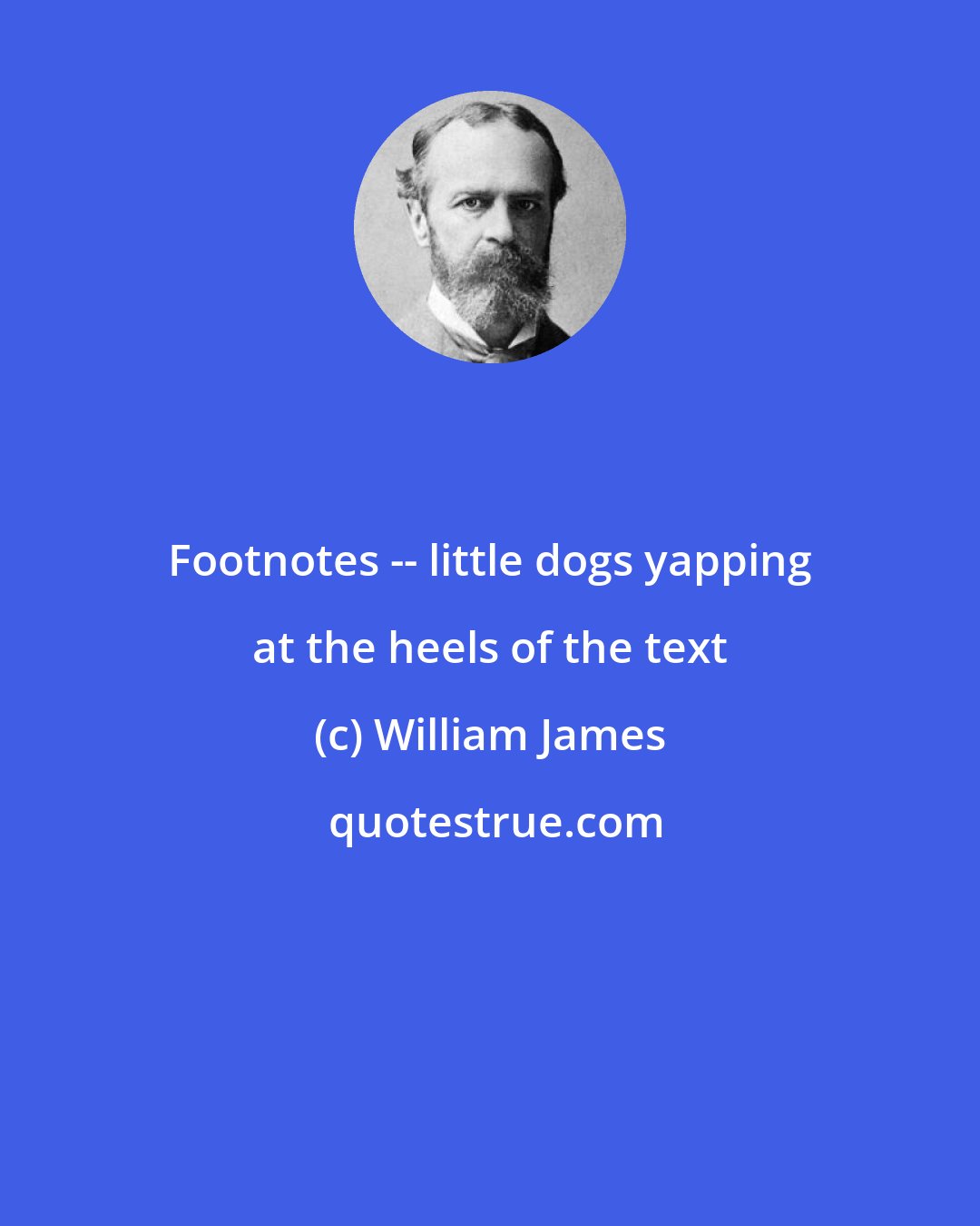 William James: Footnotes -- little dogs yapping at the heels of the text