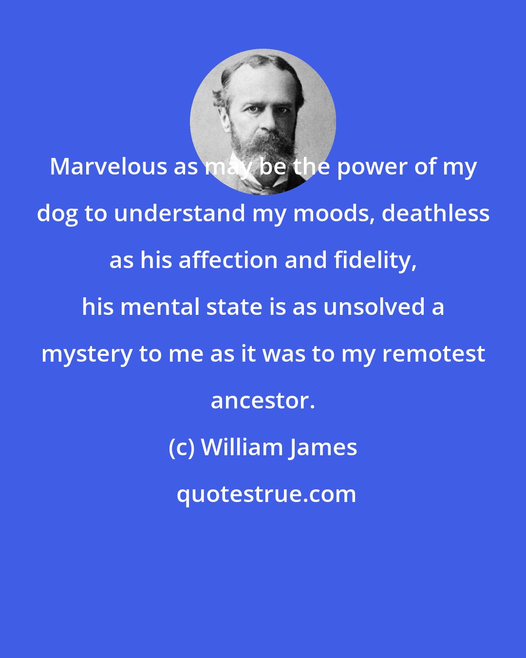 William James: Marvelous as may be the power of my dog to understand my moods, deathless as his affection and fidelity, his mental state is as unsolved a mystery to me as it was to my remotest ancestor.