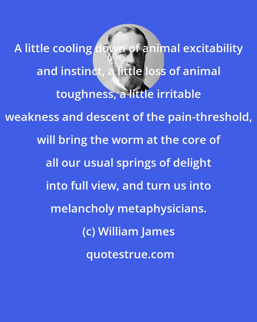 William James: A little cooling down of animal excitability and instinct, a little loss of animal toughness, a little irritable weakness and descent of the pain-threshold, will bring the worm at the core of all our usual springs of delight into full view, and turn us into melancholy metaphysicians.