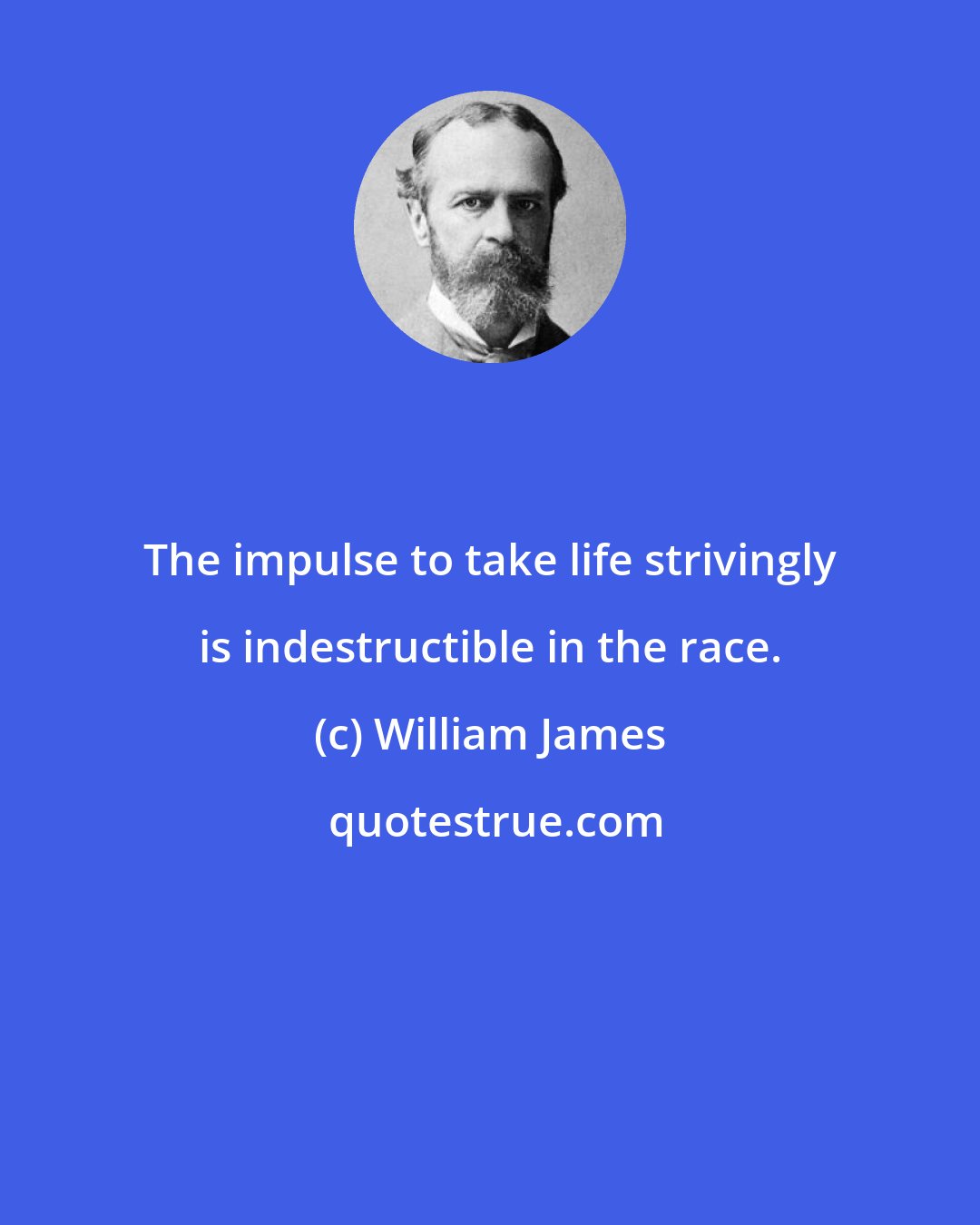 William James: The impulse to take life strivingly is indestructible in the race.