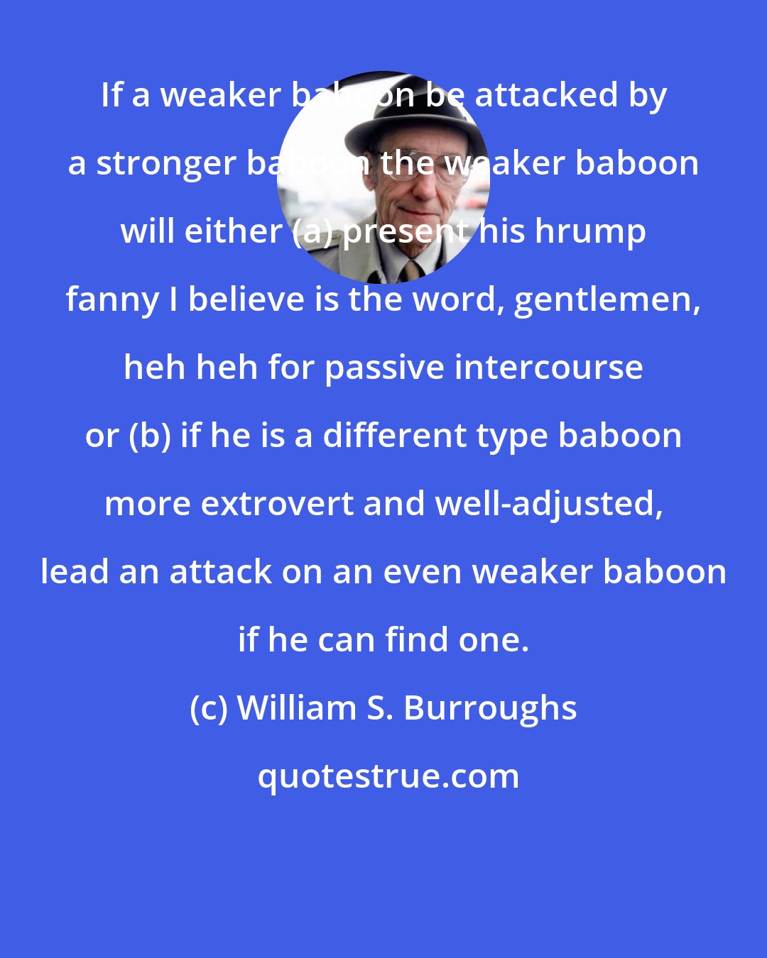 William S. Burroughs: If a weaker baboon be attacked by a stronger baboon the weaker baboon will either (a) present his hrump fanny I believe is the word, gentlemen, heh heh for passive intercourse or (b) if he is a different type baboon more extrovert and well-adjusted, lead an attack on an even weaker baboon if he can find one.