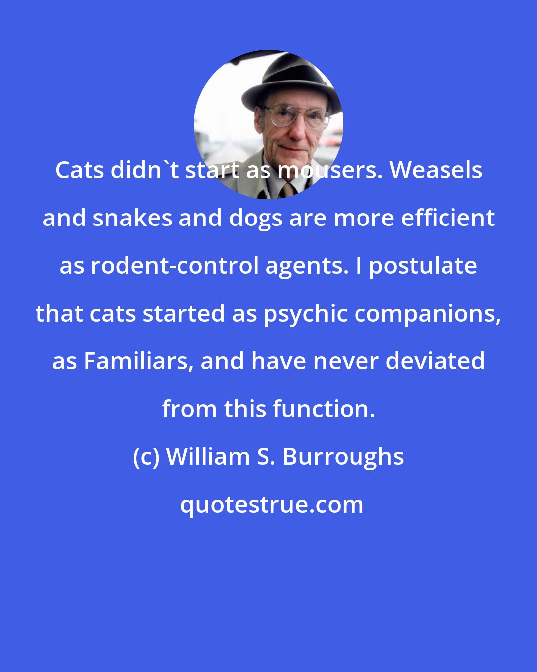 William S. Burroughs: Cats didn't start as mousers. Weasels and snakes and dogs are more efficient as rodent-control agents. I postulate that cats started as psychic companions, as Familiars, and have never deviated from this function.