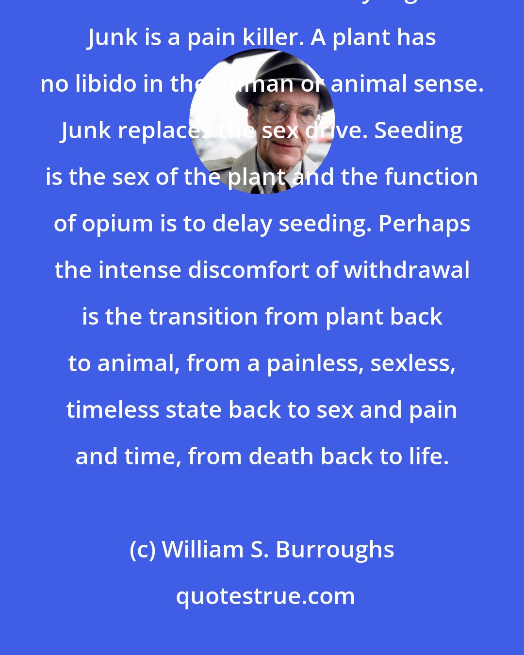 William S. Burroughs: Junk turns the user into a plant. Plants do not feel pain since pain has no function in a stationary organism. Junk is a pain killer. A plant has no libido in the human or animal sense. Junk replaces the sex drive. Seeding is the sex of the plant and the function of opium is to delay seeding. Perhaps the intense discomfort of withdrawal is the transition from plant back to animal, from a painless, sexless, timeless state back to sex and pain and time, from death back to life.