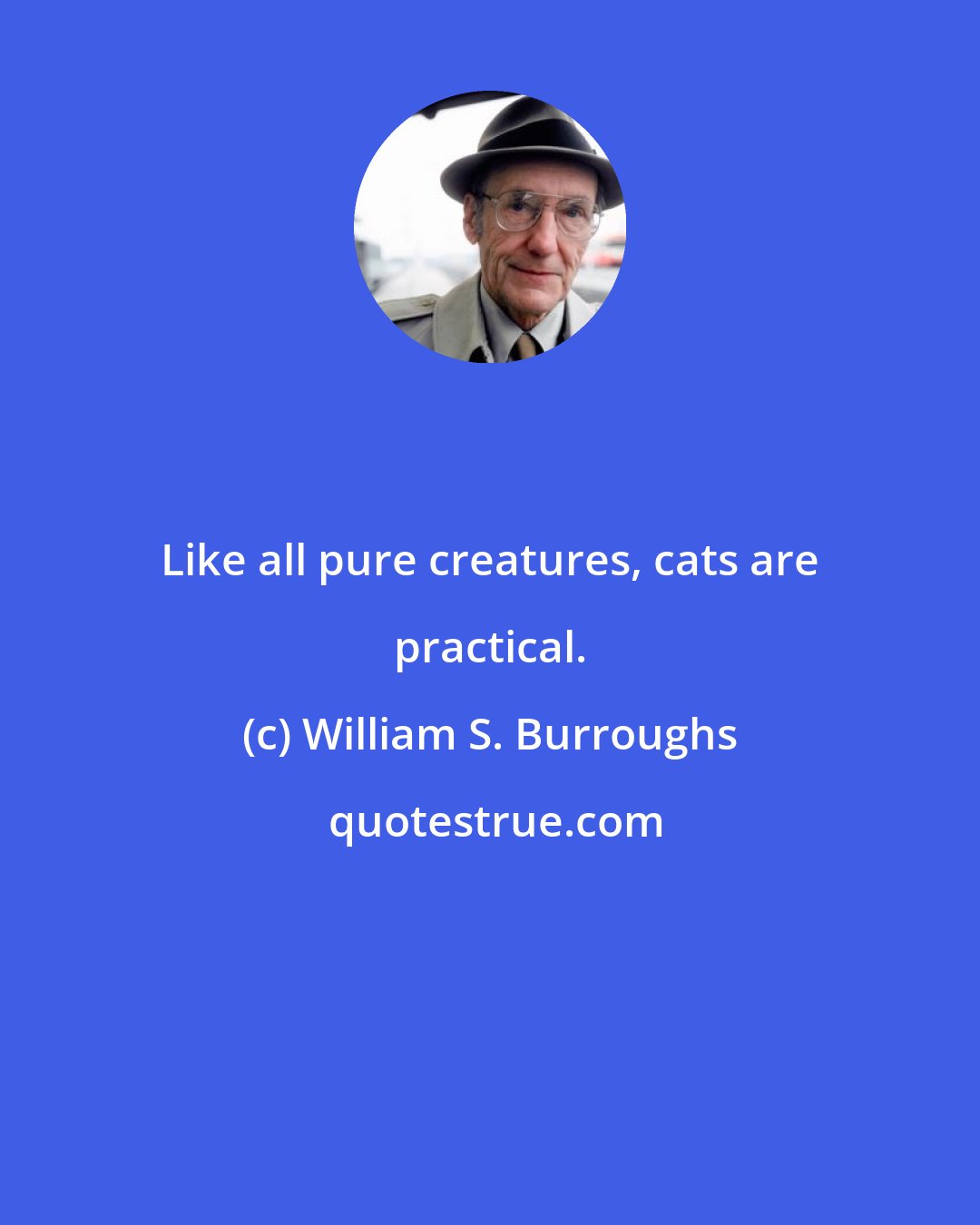 William S. Burroughs: Like all pure creatures, cats are practical.