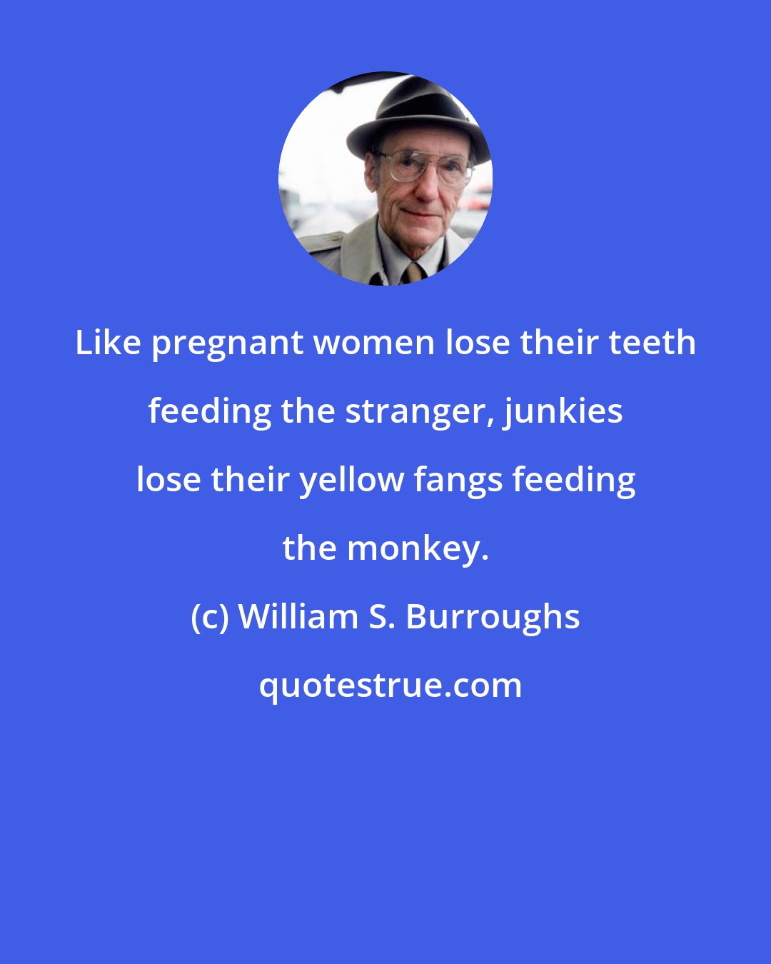 William S. Burroughs: Like pregnant women lose their teeth feeding the stranger, junkies lose their yellow fangs feeding the monkey.