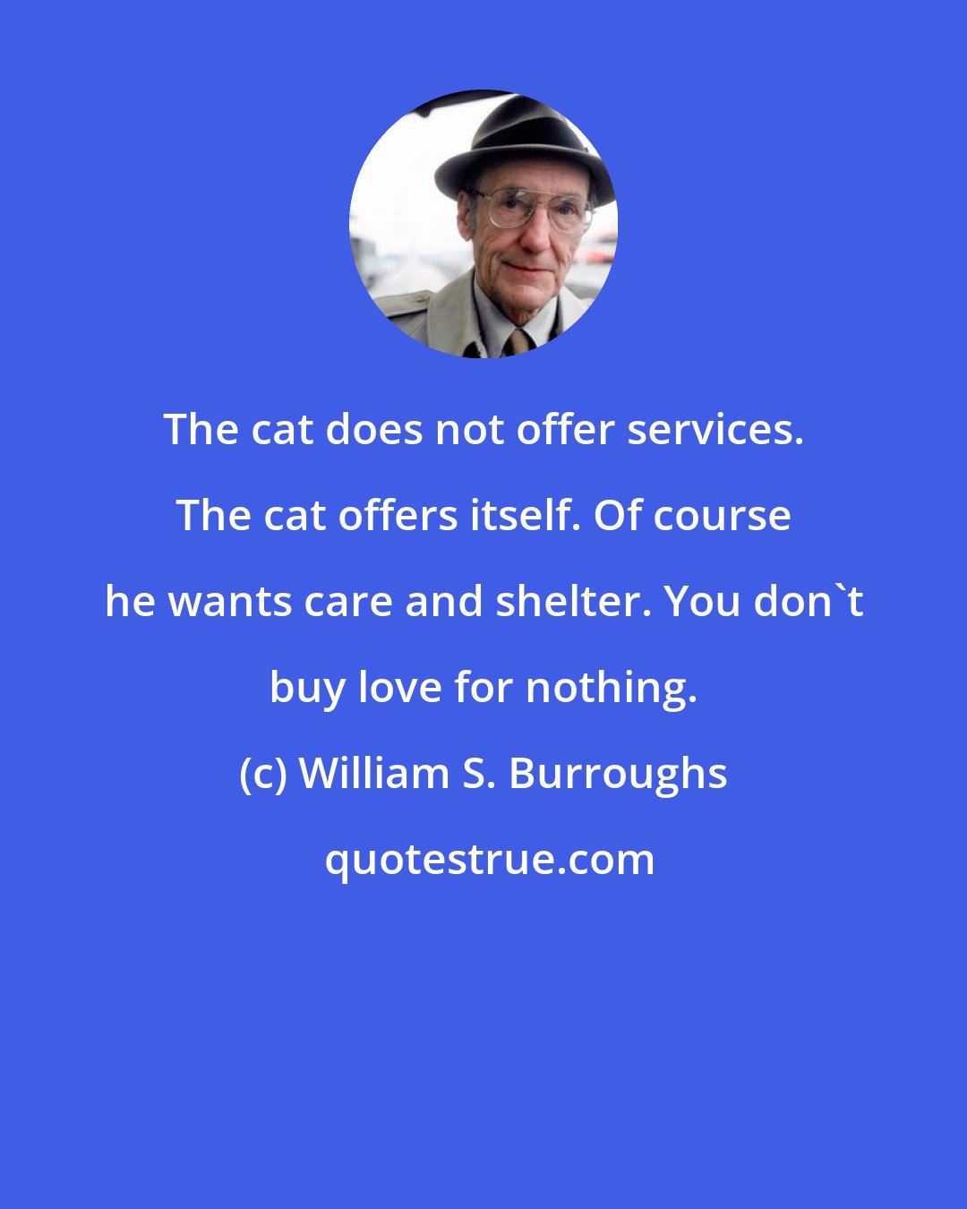 William S. Burroughs: The cat does not offer services. The cat offers itself. Of course he wants care and shelter. You don't buy love for nothing.