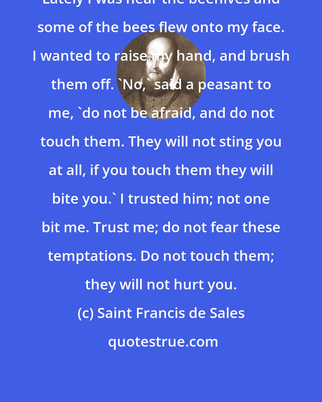 Saint Francis de Sales: Lately I was near the beehives and some of the bees flew onto my face. I wanted to raise my hand, and brush them off. 'No,' said a peasant to me, 'do not be afraid, and do not touch them. They will not sting you at all, if you touch them they will bite you.' I trusted him; not one bit me. Trust me; do not fear these temptations. Do not touch them; they will not hurt you.