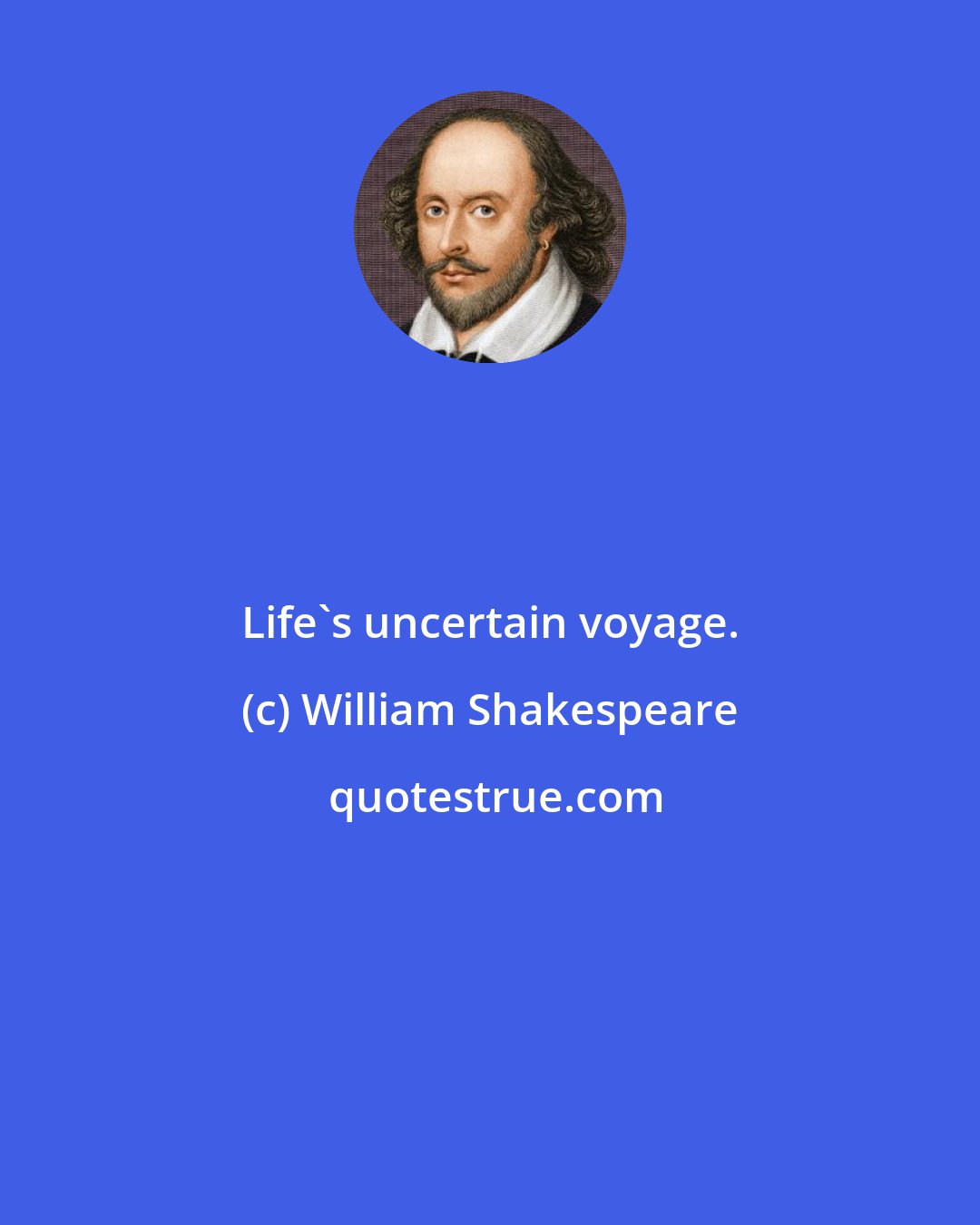 William Shakespeare: Life's uncertain voyage.