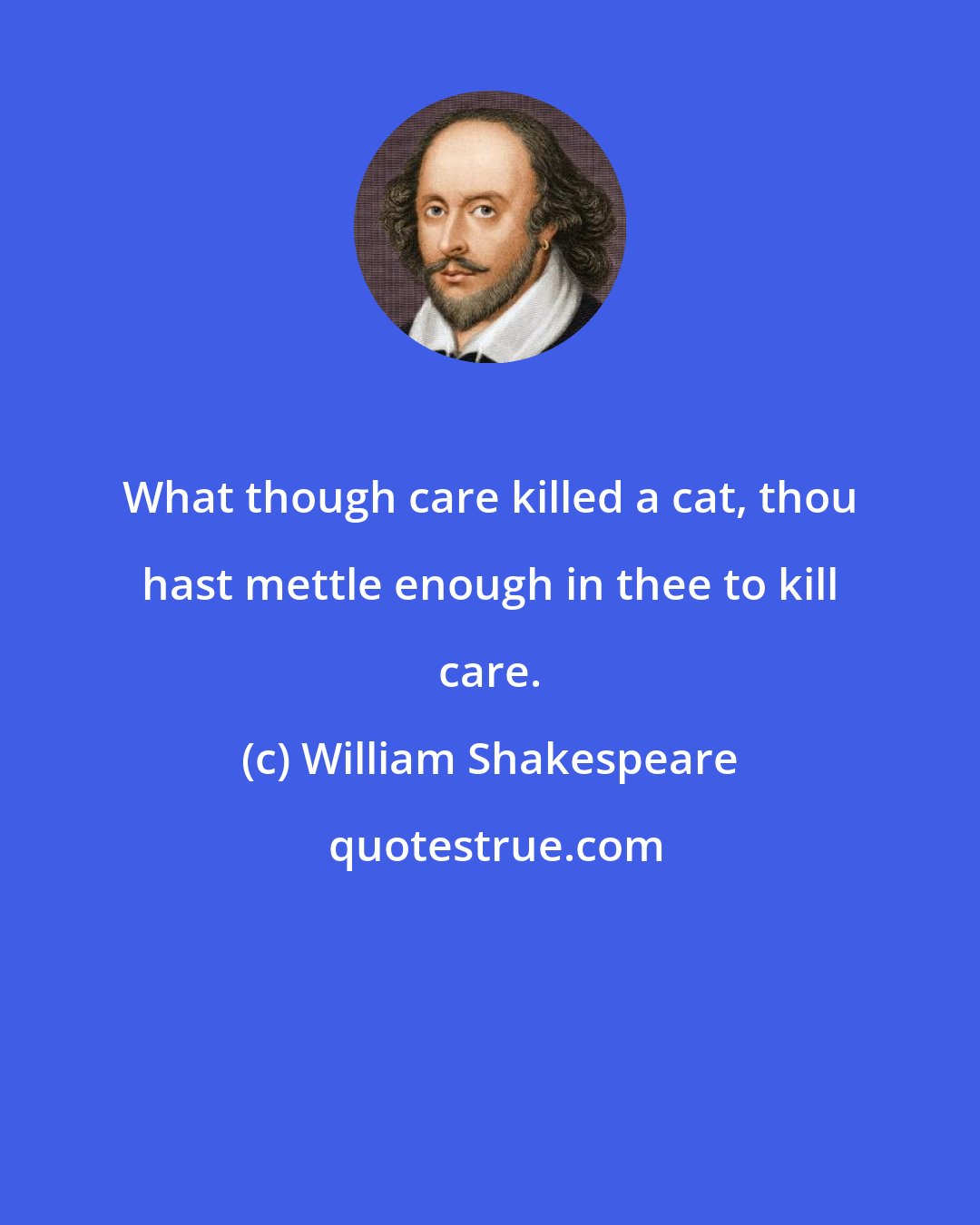 William Shakespeare: What though care killed a cat, thou hast mettle enough in thee to kill care.
