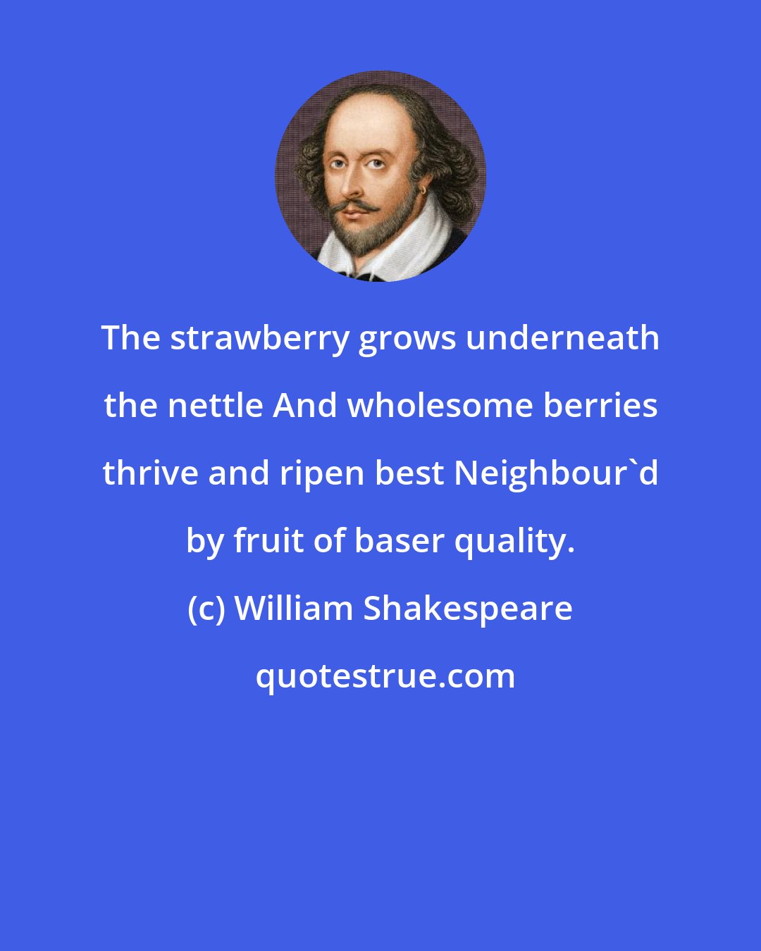William Shakespeare: The strawberry grows underneath the nettle And wholesome berries thrive and ripen best Neighbour'd by fruit of baser quality.
