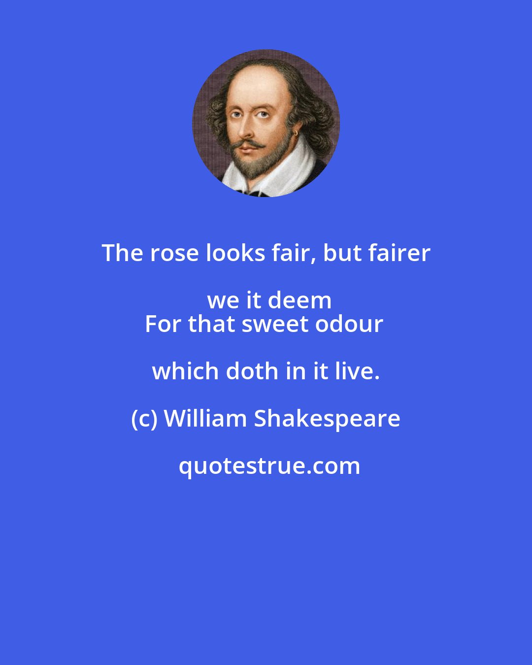 William Shakespeare: The rose looks fair, but fairer we it deem
For that sweet odour which doth in it live.