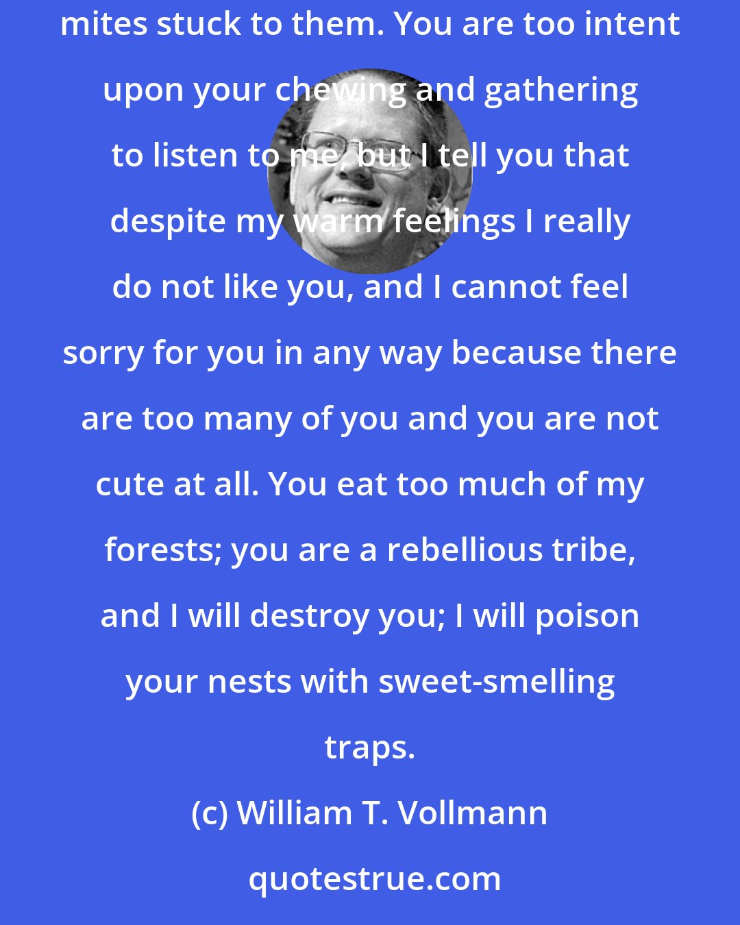 William T. Vollmann: Oh, ants, my sisters, good old honeydew-seekers! From close up you are sticky and shiny and gristly; and your nymphs have parasitic red mites stuck to them. You are too intent upon your chewing and gathering to listen to me, but I tell you that despite my warm feelings I really do not like you, and I cannot feel sorry for you in any way because there are too many of you and you are not cute at all. You eat too much of my forests; you are a rebellious tribe, and I will destroy you; I will poison your nests with sweet-smelling traps.