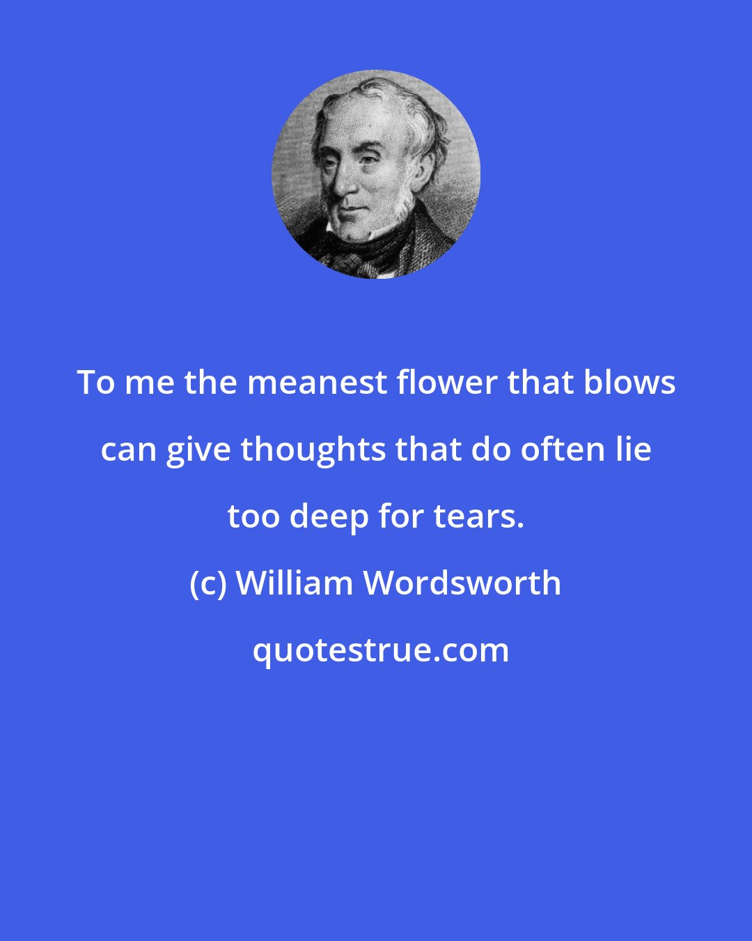 William Wordsworth: To me the meanest flower that blows can give thoughts that do often lie too deep for tears.