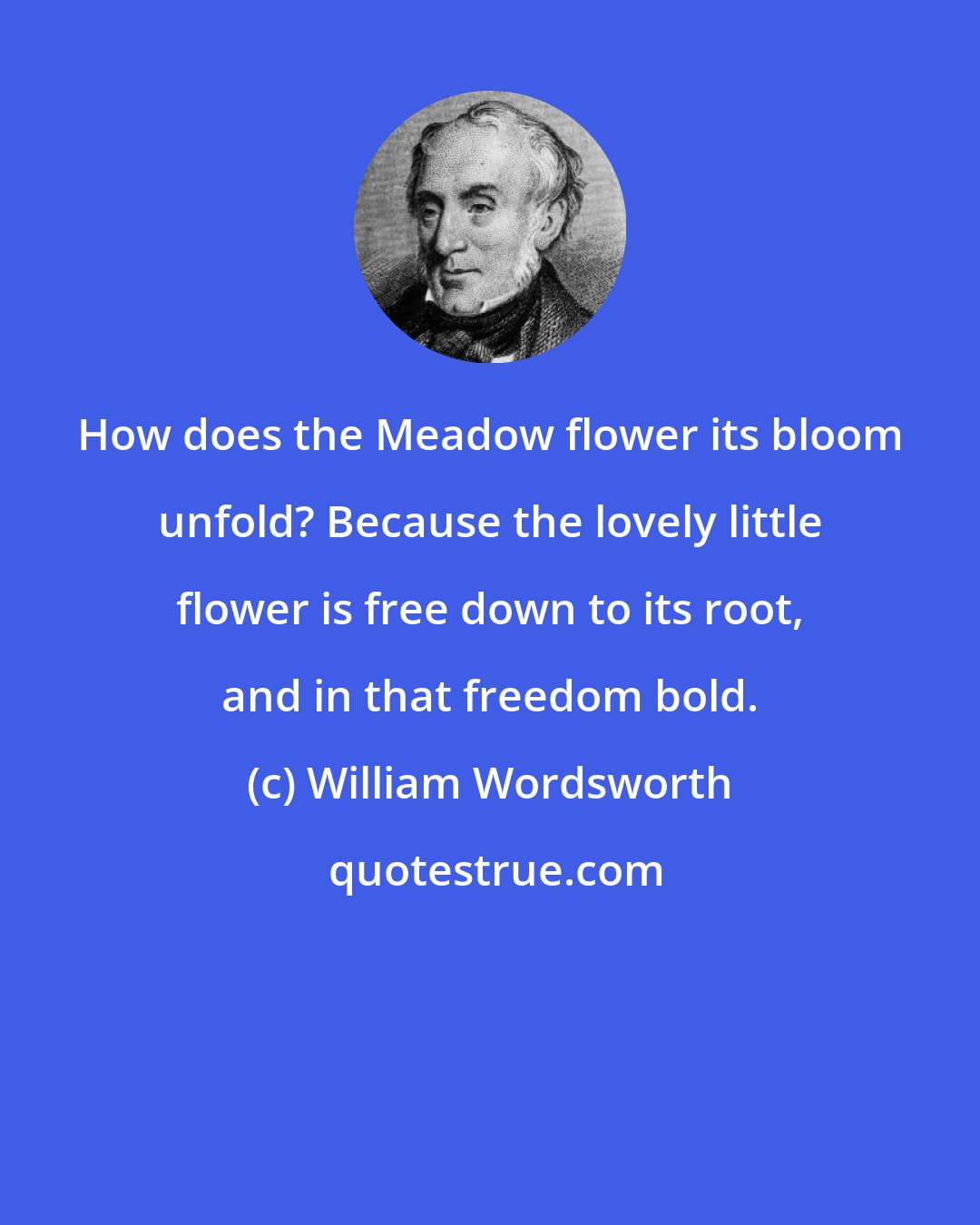 William Wordsworth: How does the Meadow flower its bloom unfold? Because the lovely little flower is free down to its root, and in that freedom bold.