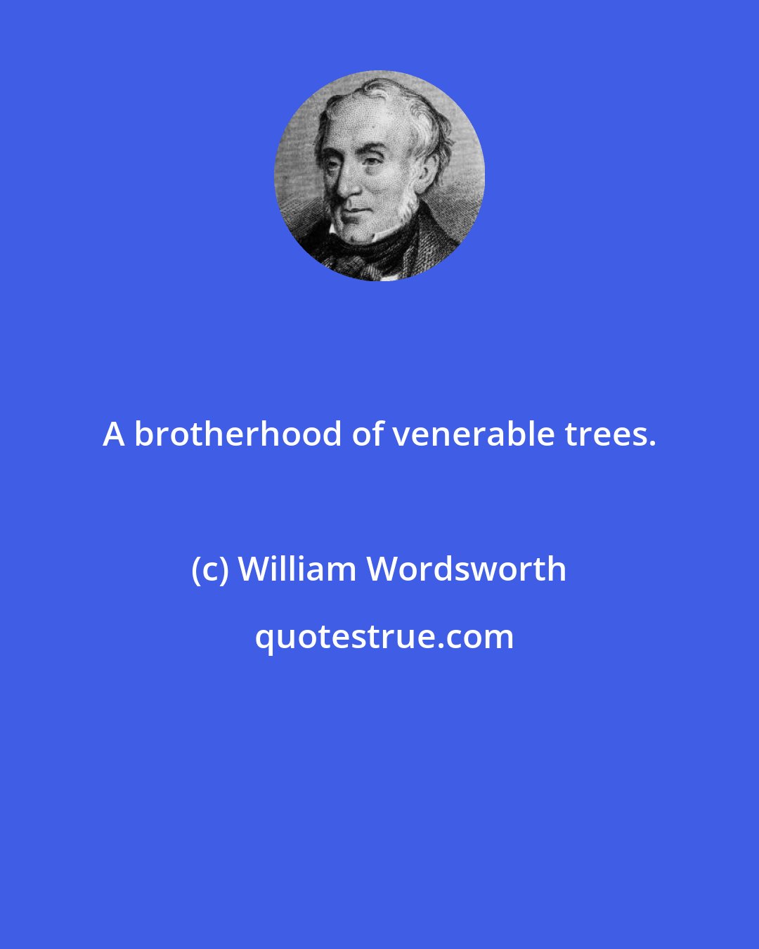 William Wordsworth: A brotherhood of venerable trees.