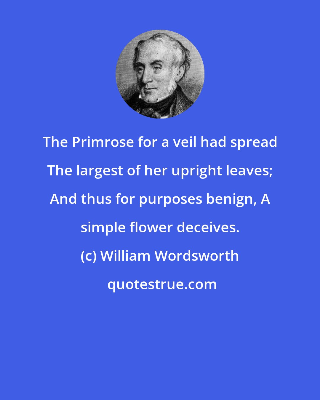 William Wordsworth: The Primrose for a veil had spread The largest of her upright leaves; And thus for purposes benign, A simple flower deceives.