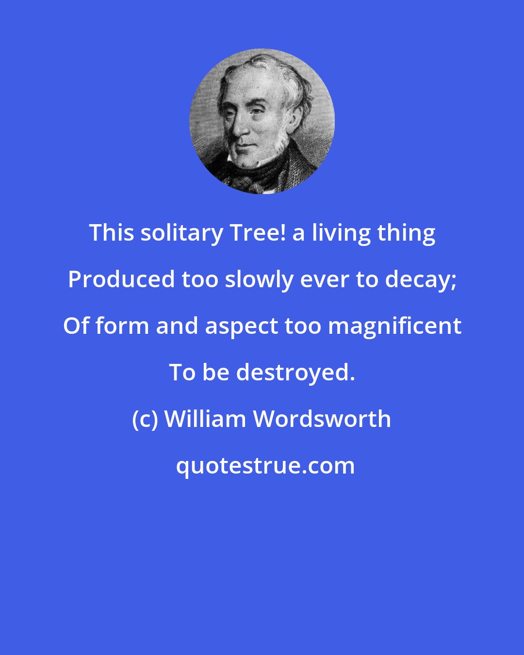 William Wordsworth: This solitary Tree! a living thing Produced too slowly ever to decay; Of form and aspect too magnificent To be destroyed.