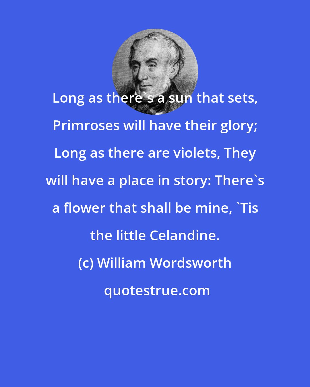 William Wordsworth: Long as there's a sun that sets, Primroses will have their glory; Long as there are violets, They will have a place in story: There's a flower that shall be mine, 'Tis the little Celandine.