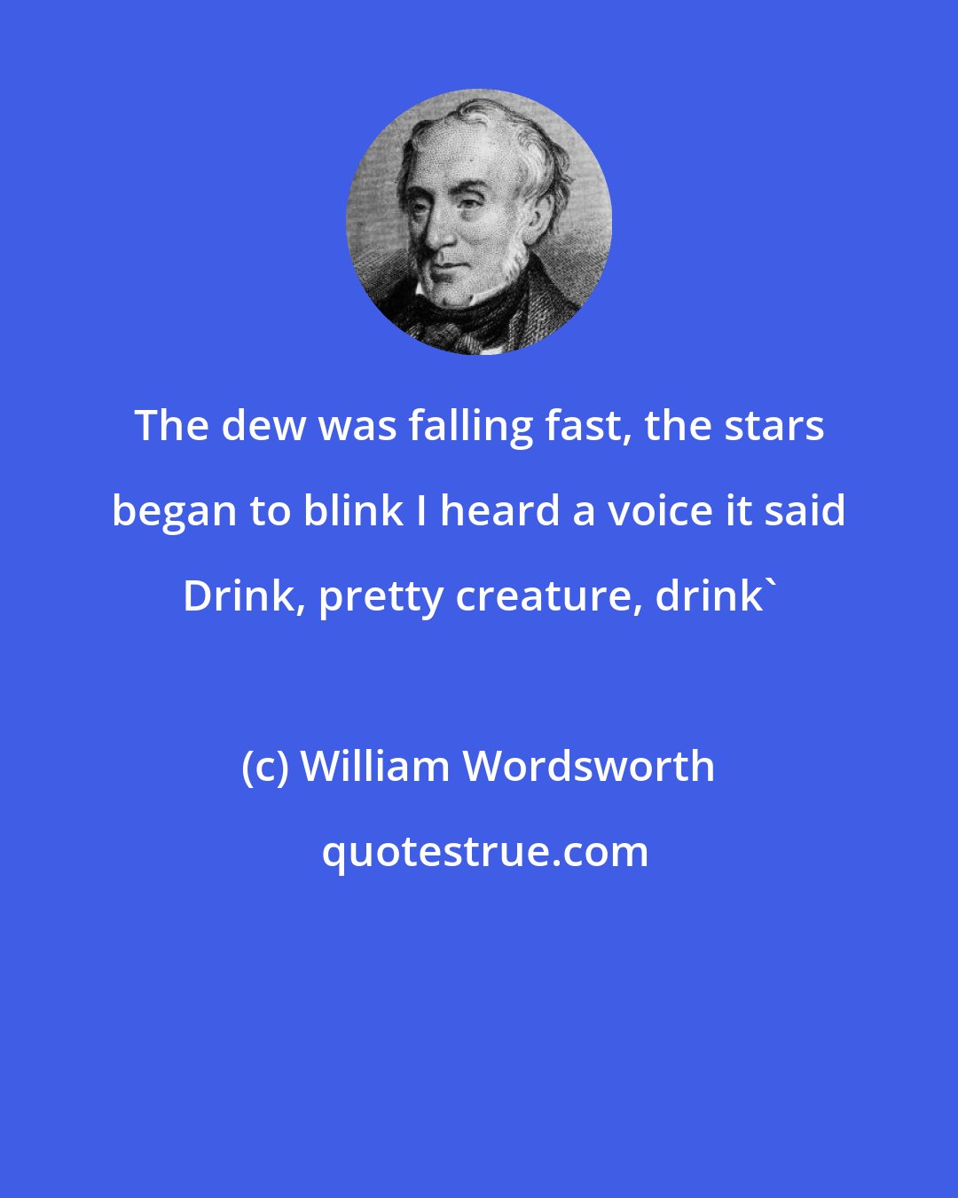 William Wordsworth: The dew was falling fast, the stars began to blink I heard a voice it said Drink, pretty creature, drink'