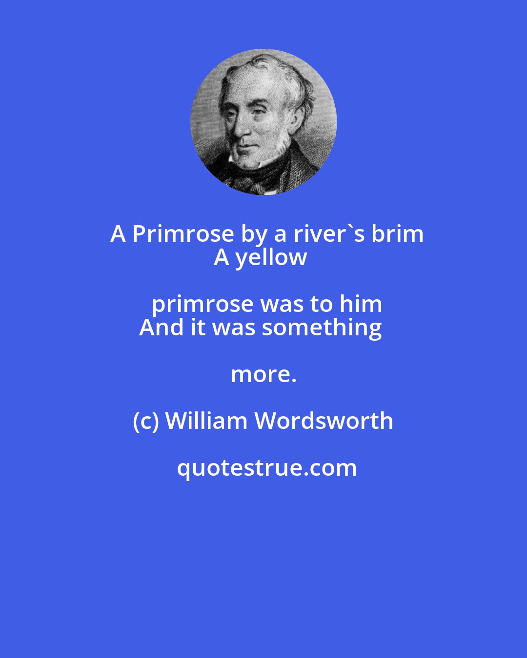 William Wordsworth: A Primrose by a river's brim
A yellow primrose was to him
And it was something more.