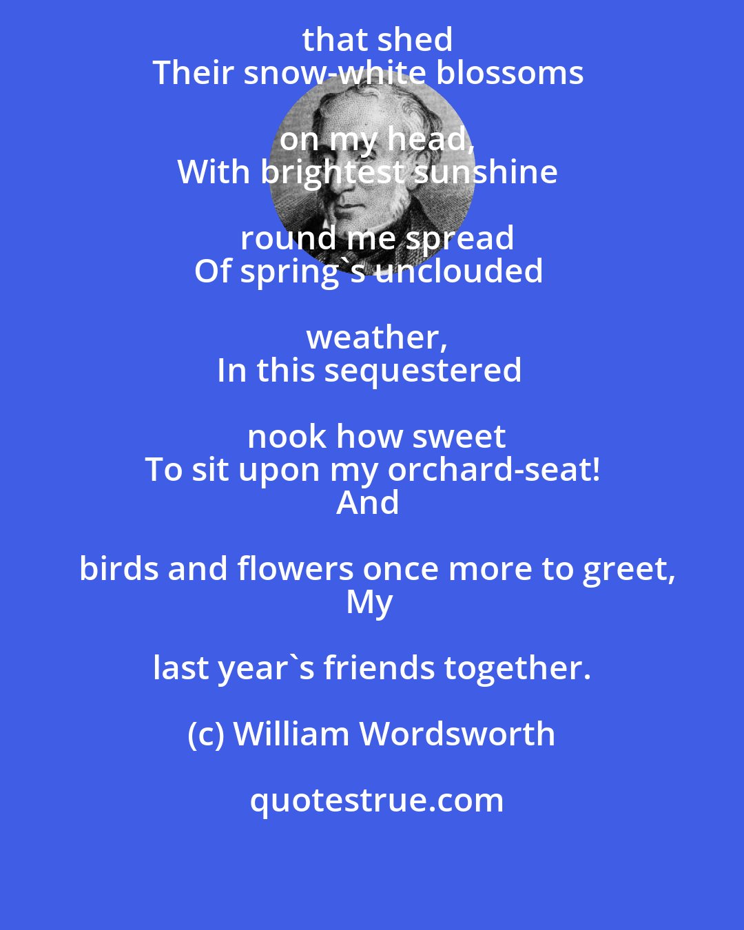 William Wordsworth: Beneath these fruit-tree boughs that shed
Their snow-white blossoms on my head,
With brightest sunshine round me spread
Of spring's unclouded weather,
In this sequestered nook how sweet
To sit upon my orchard-seat!
And birds and flowers once more to greet,
My last year's friends together.