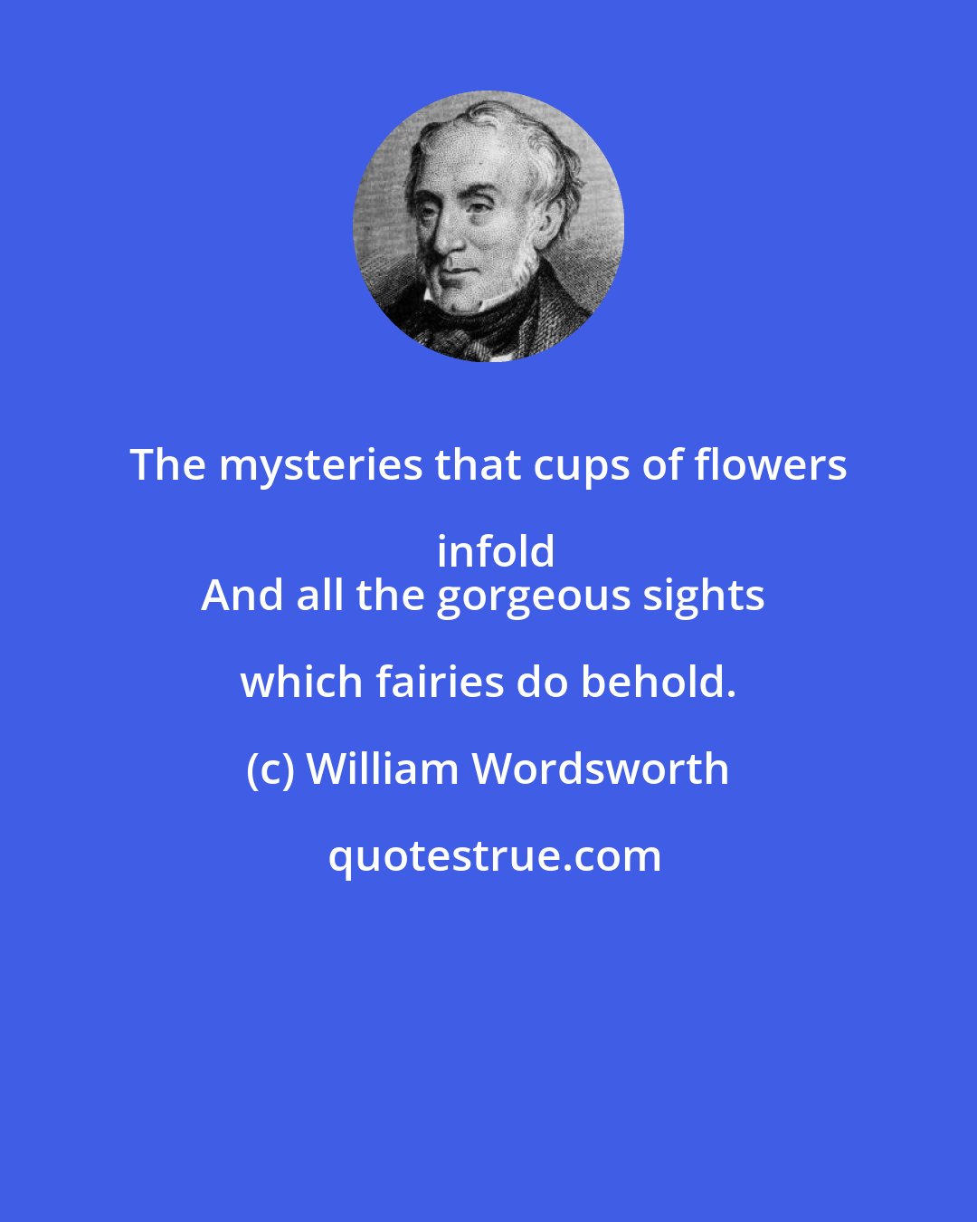 William Wordsworth: The mysteries that cups of flowers infold
And all the gorgeous sights which fairies do behold.