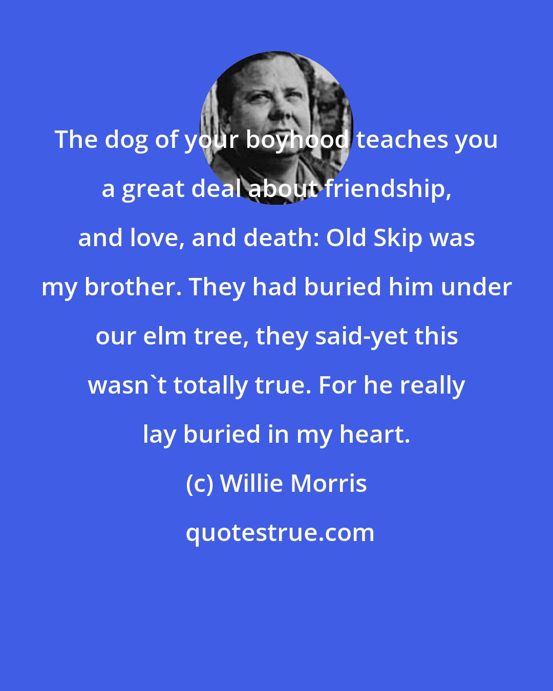 Willie Morris: The dog of your boyhood teaches you a great deal about friendship, and love, and death: Old Skip was my brother. They had buried him under our elm tree, they said-yet this wasn't totally true. For he really lay buried in my heart.