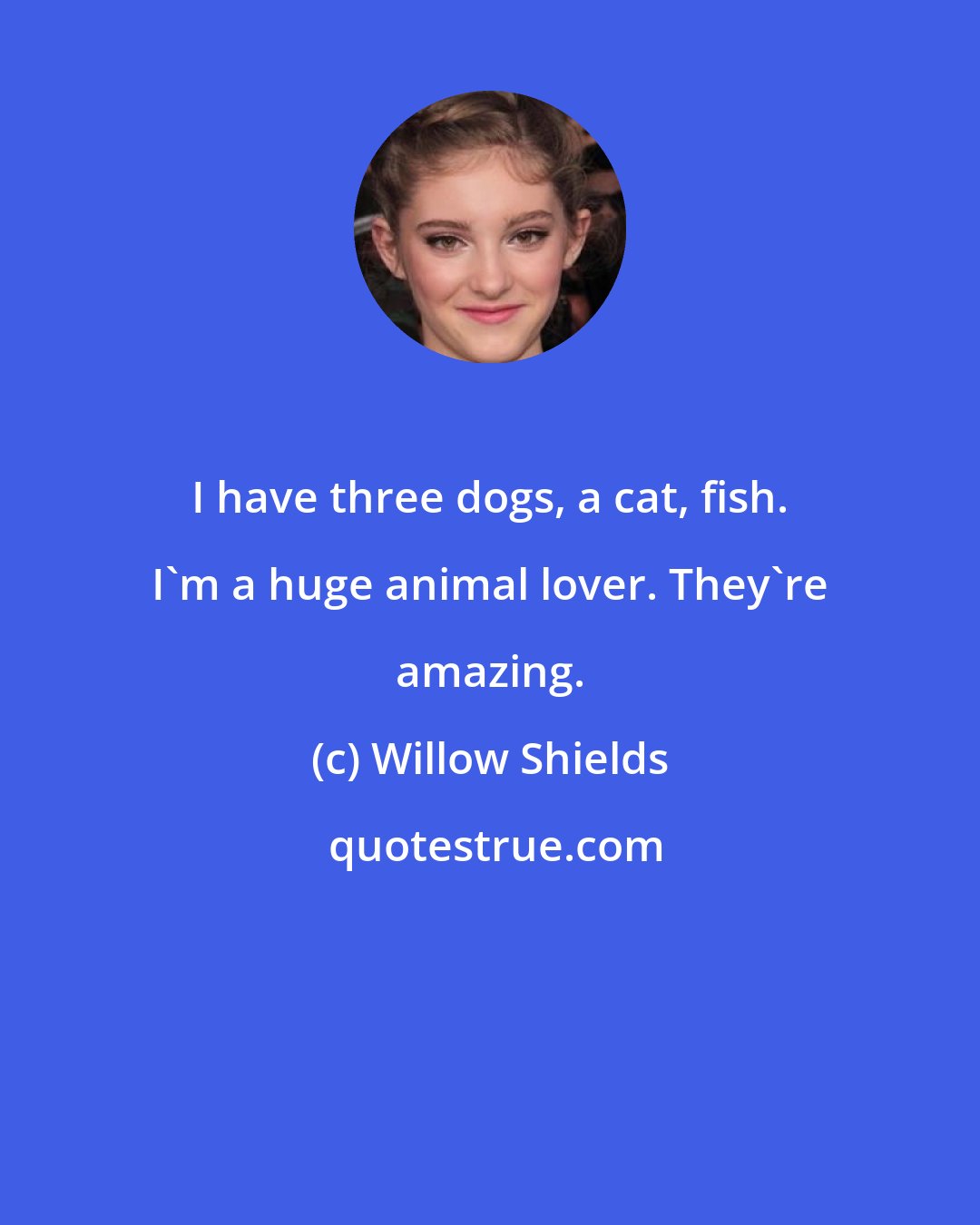 Willow Shields: I have three dogs, a cat, fish. I'm a huge animal lover. They're amazing.