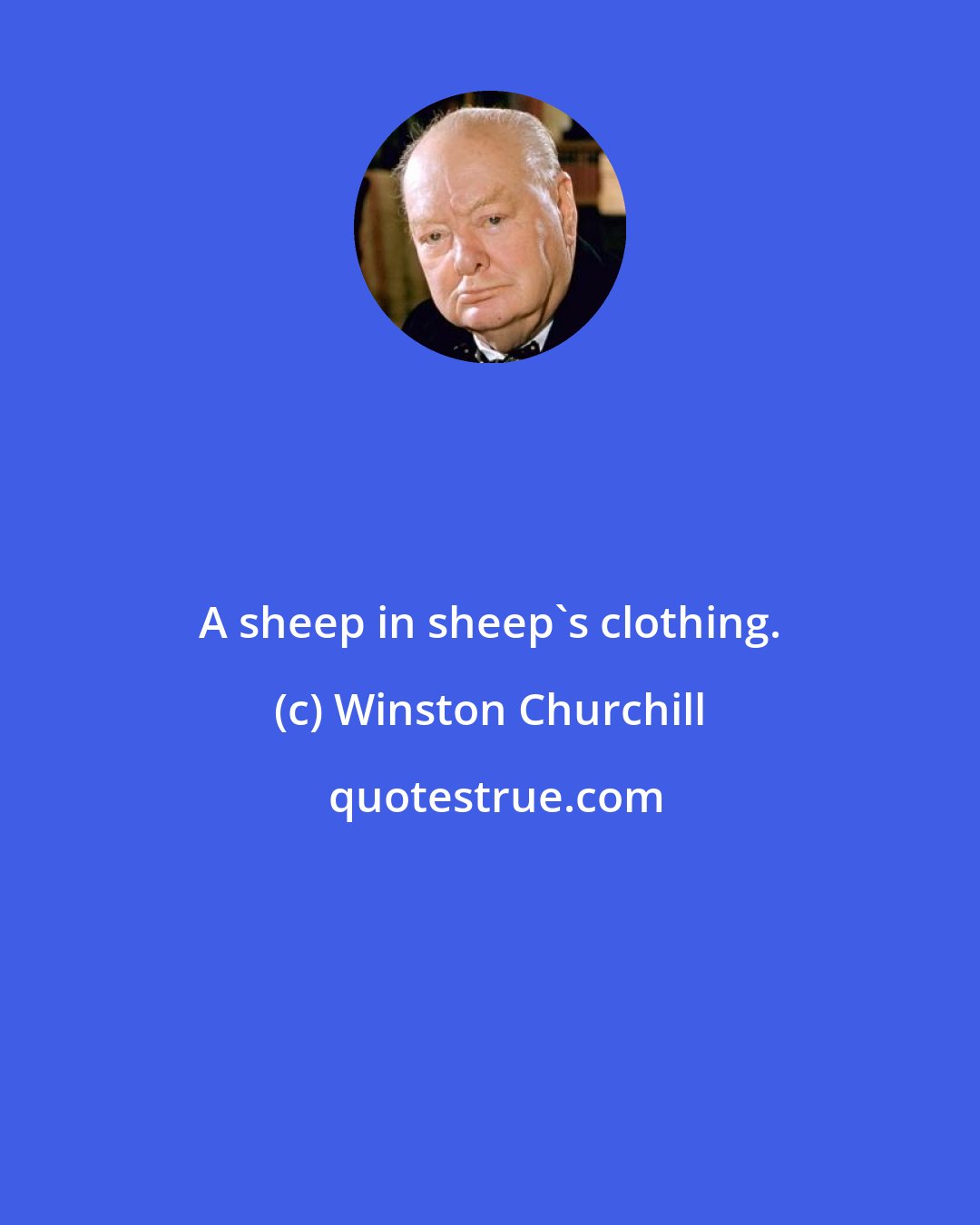 Winston Churchill: A sheep in sheep's clothing.