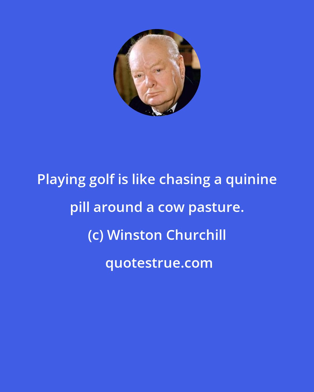 Winston Churchill: Playing golf is like chasing a quinine pill around a cow pasture.