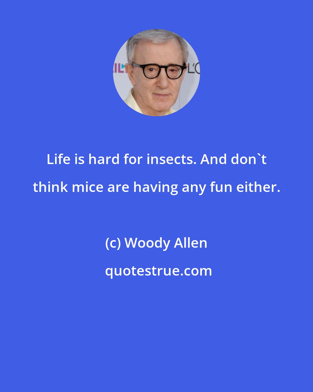 Woody Allen: Life is hard for insects. And don't think mice are having any fun either.