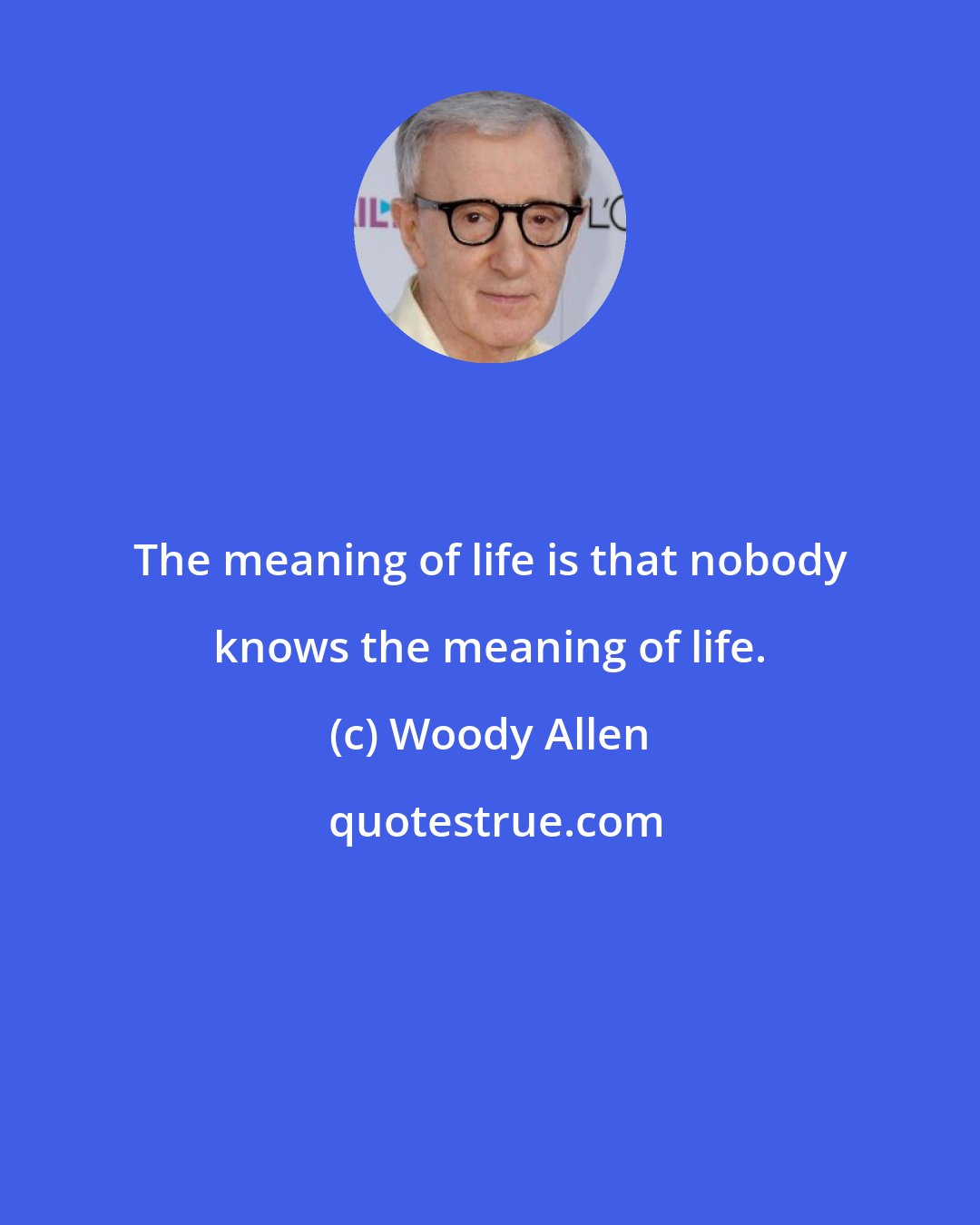 Woody Allen: The meaning of life is that nobody knows the meaning of life.