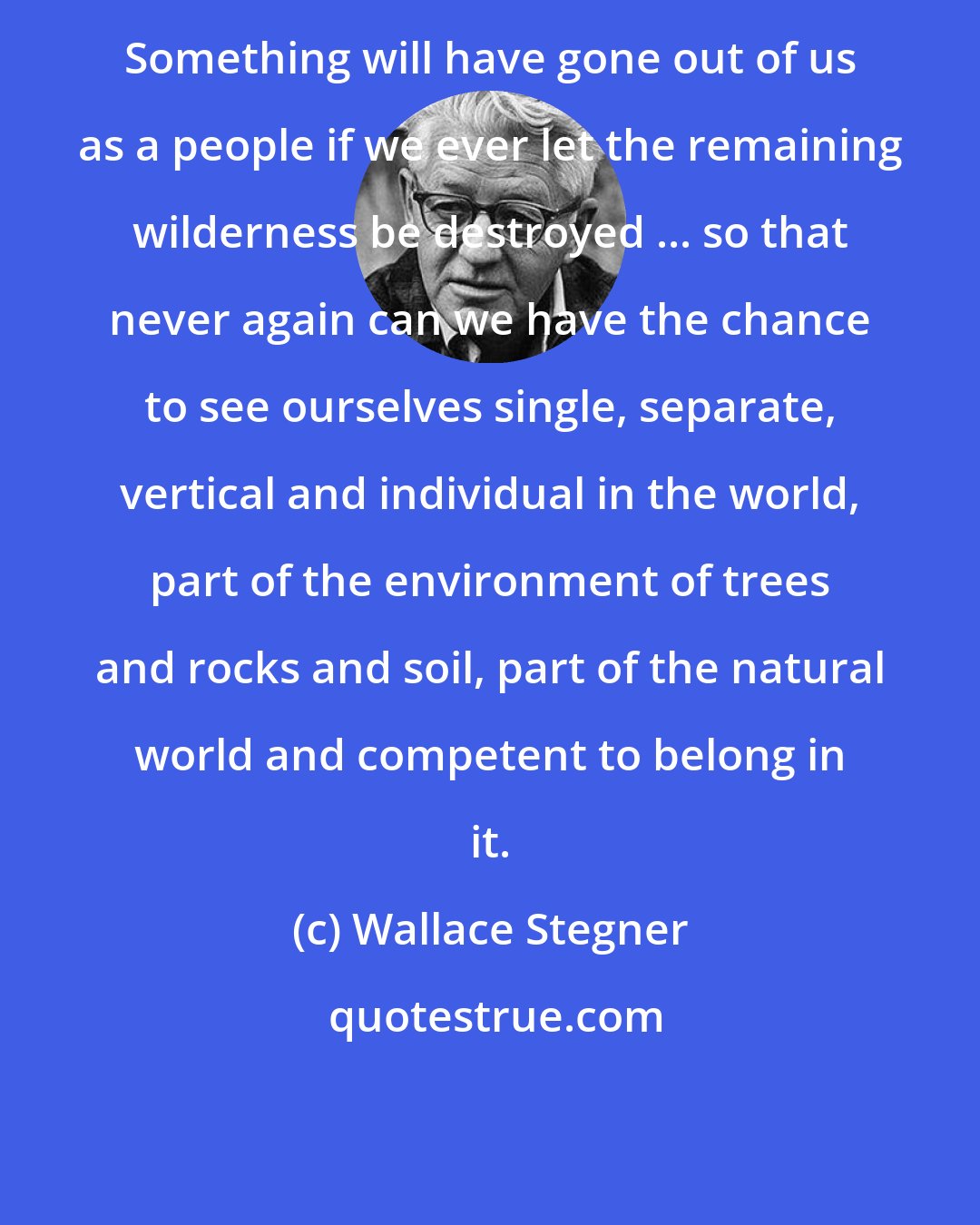 Wallace Stegner: Something will have gone out of us as a people if we ever let the remaining wilderness be destroyed ... so that never again can we have the chance to see ourselves single, separate, vertical and individual in the world, part of the environment of trees and rocks and soil, part of the natural world and competent to belong in it.