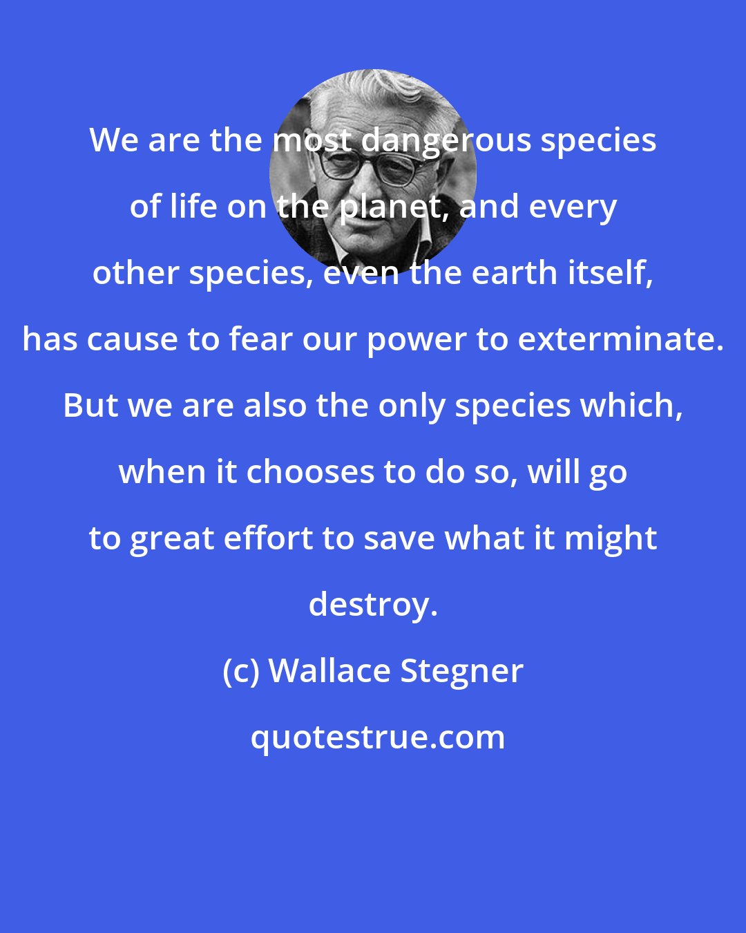 Wallace Stegner: We are the most dangerous species of life on the planet, and every other species, even the earth itself, has cause to fear our power to exterminate. But we are also the only species which, when it chooses to do so, will go to great effort to save what it might destroy.