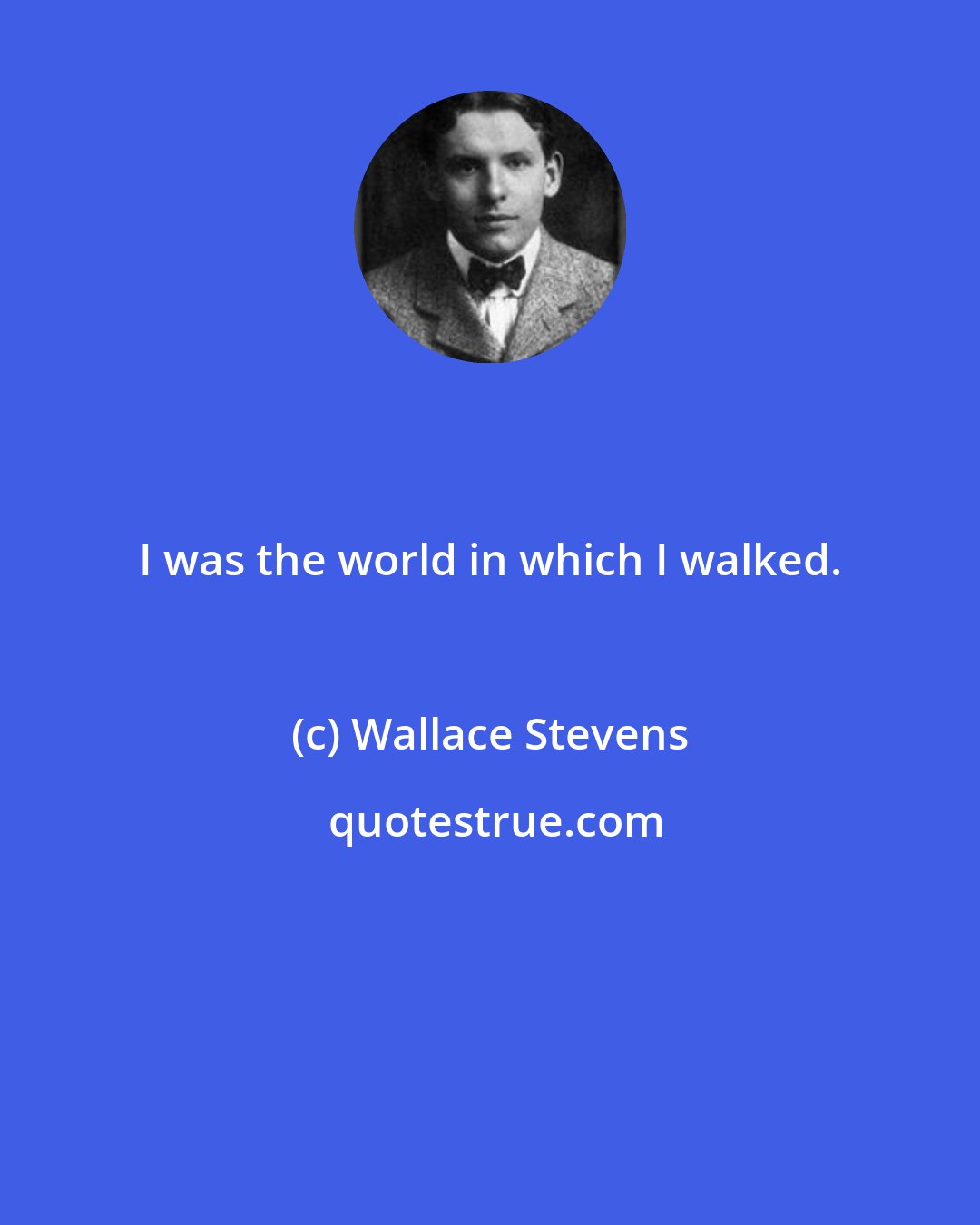 Wallace Stevens: I was the world in which I walked.