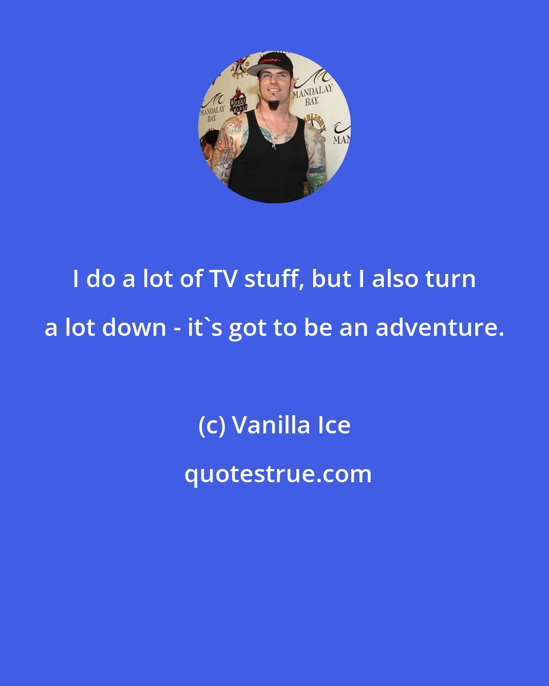 Vanilla Ice: I do a lot of TV stuff, but I also turn a lot down - it's got to be an adventure.