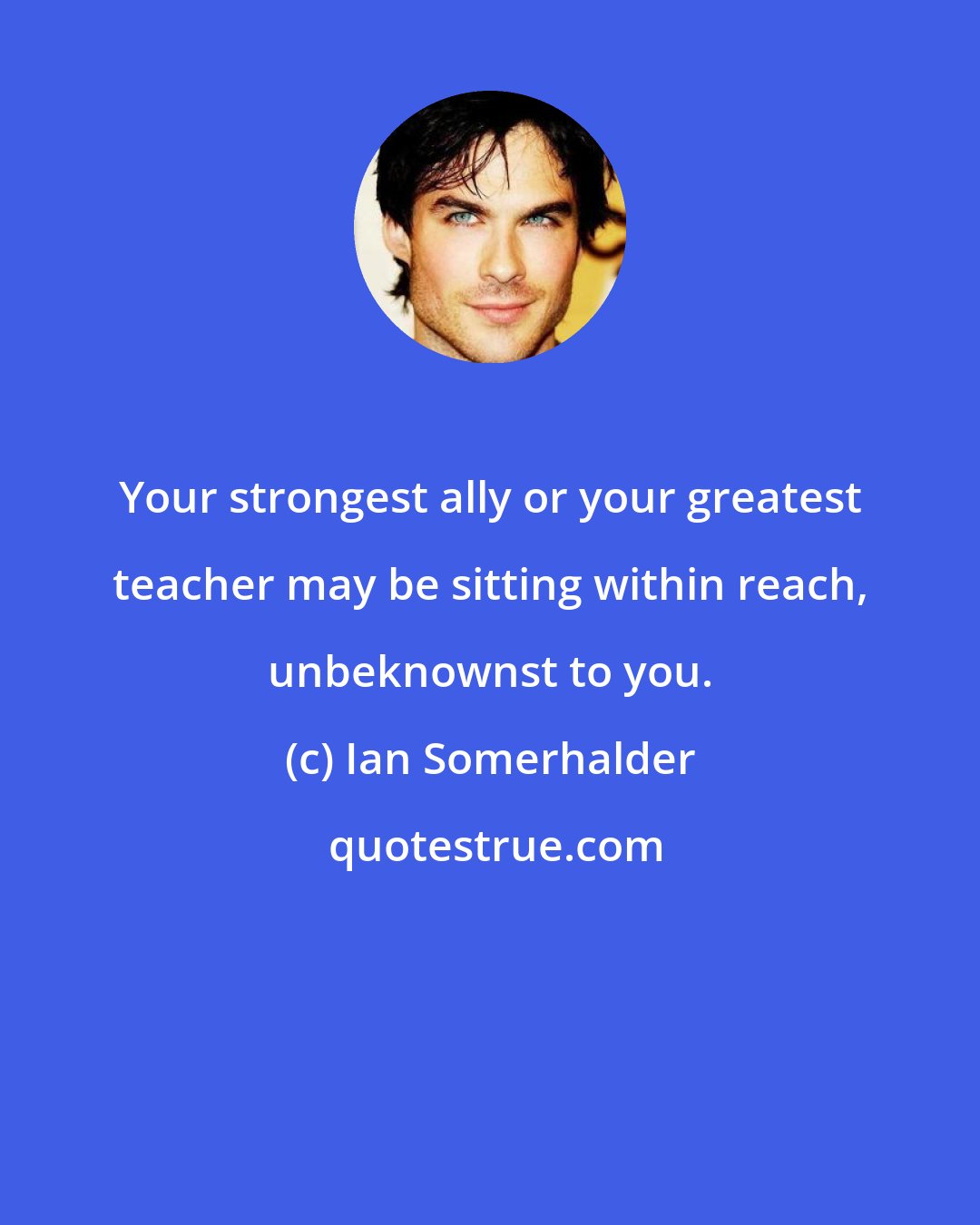 Ian Somerhalder: Your strongest ally or your greatest teacher may be sitting within reach, unbeknownst to you.