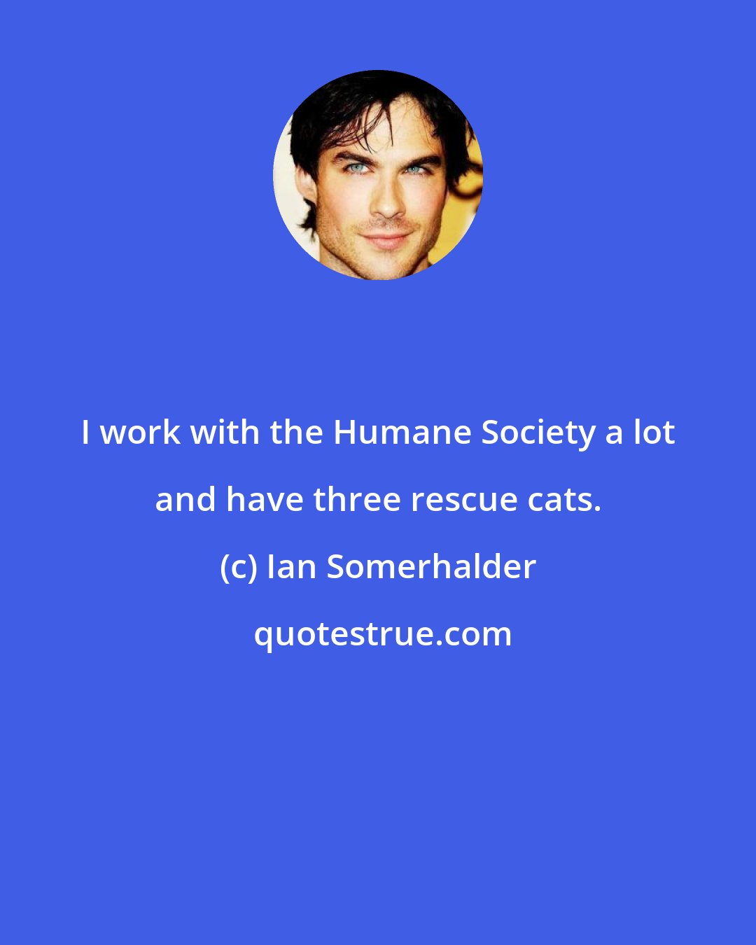Ian Somerhalder: I work with the Humane Society a lot and have three rescue cats.