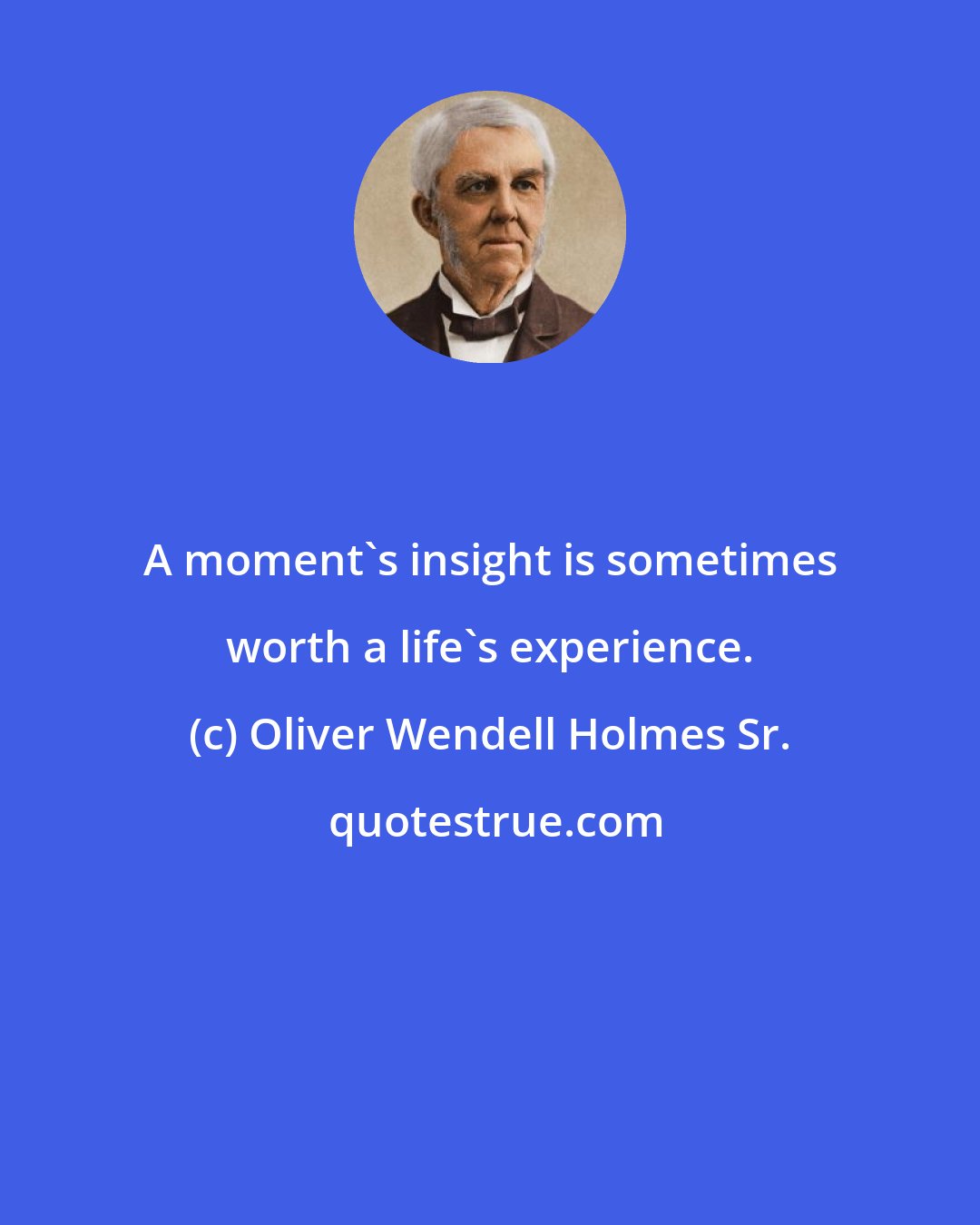 Oliver Wendell Holmes Sr.: A moment's insight is sometimes worth a life's experience.