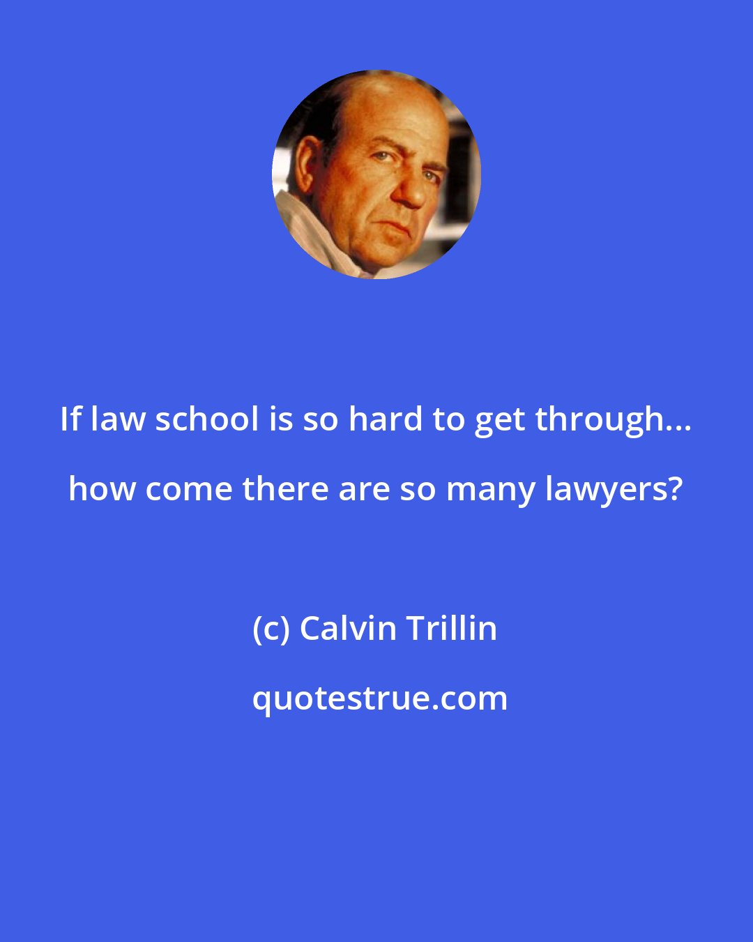 Calvin Trillin: If law school is so hard to get through... how come there are so many lawyers?