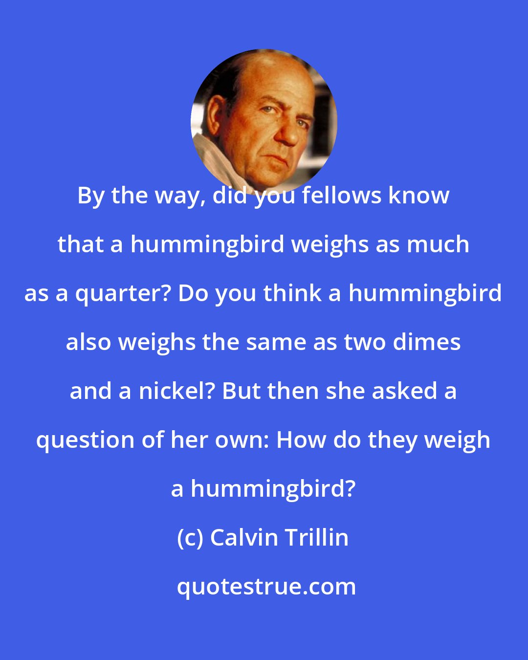 Calvin Trillin: By the way, did you fellows know that a hummingbird weighs as much as a quarter? Do you think a hummingbird also weighs the same as two dimes and a nickel? But then she asked a question of her own: How do they weigh a hummingbird?