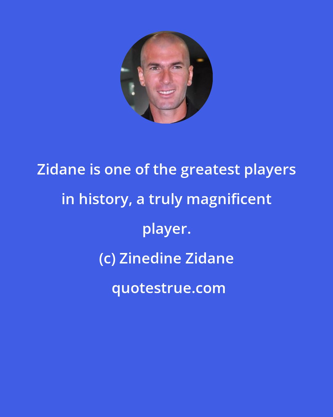 Zinedine Zidane: Zidane is one of the greatest players in history, a truly magnificent player.