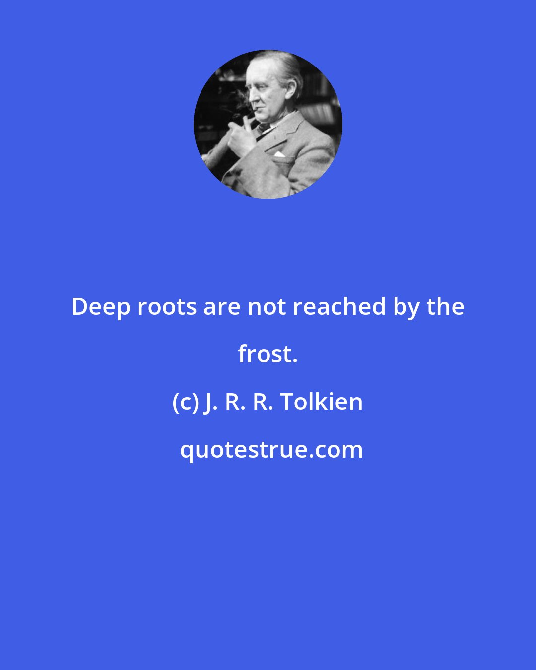 J. R. R. Tolkien: Deep roots are not reached by the frost.