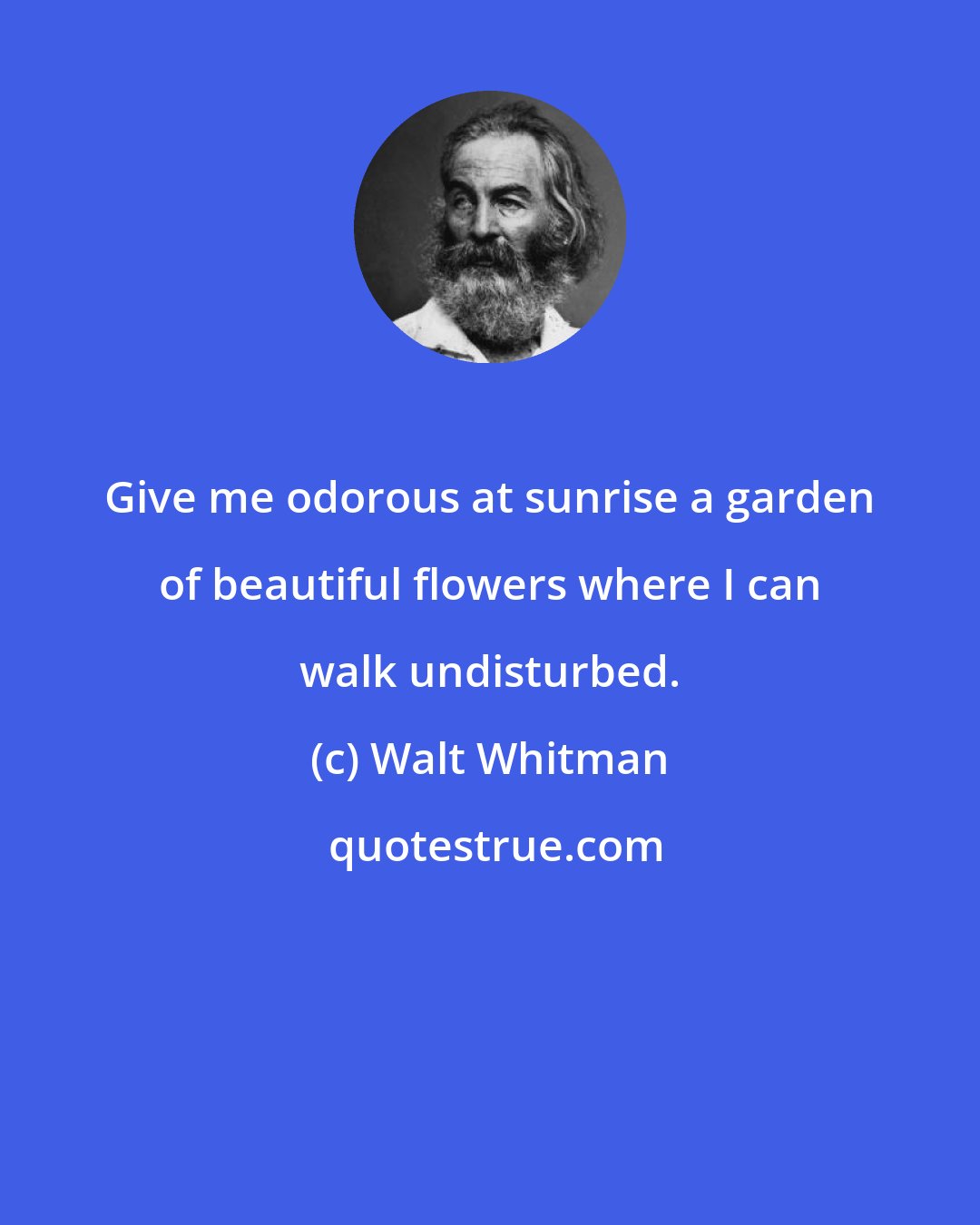 Walt Whitman: Give me odorous at sunrise a garden of beautiful flowers where I can walk undisturbed.