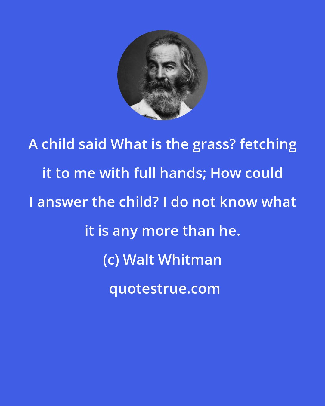 Walt Whitman: A child said What is the grass? fetching it to me with full hands; How could I answer the child? I do not know what it is any more than he.