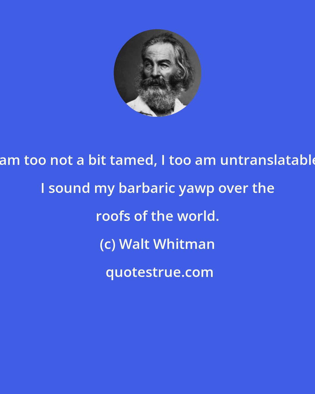 Walt Whitman: I am too not a bit tamed, I too am untranslatable, I sound my barbaric yawp over the roofs of the world.