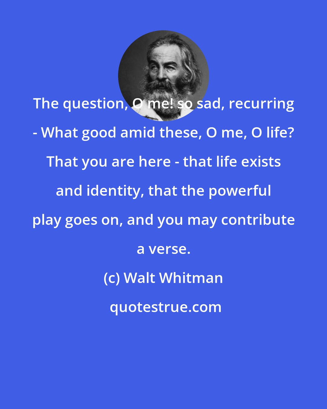 Walt Whitman: The question, O me! so sad, recurring - What good amid these, O me, O life? That you are here - that life exists and identity, that the powerful play goes on, and you may contribute a verse.