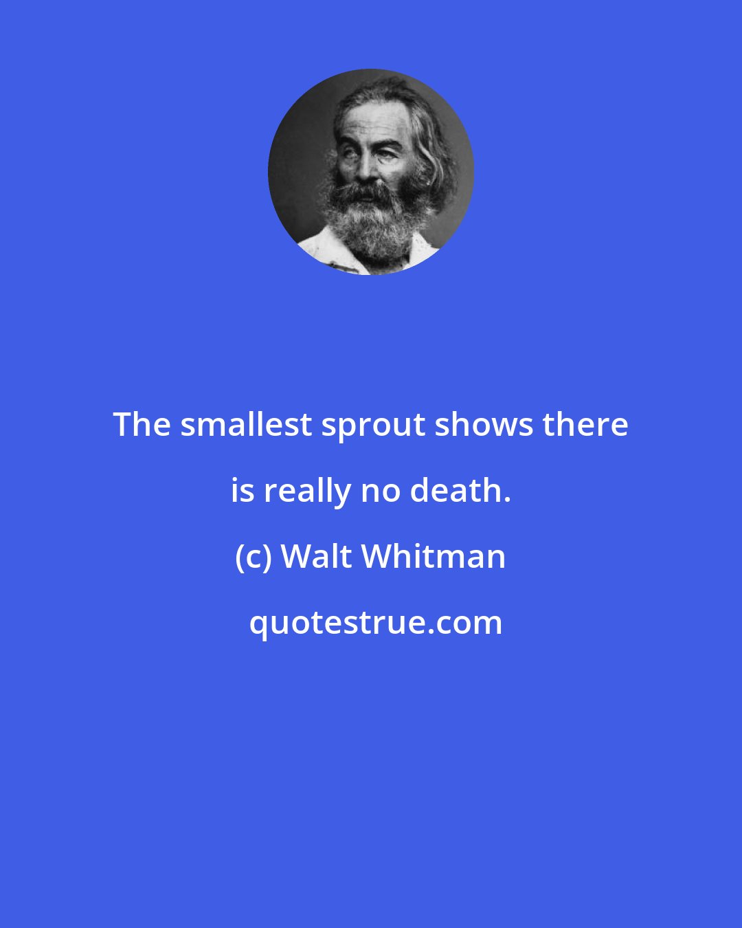 Walt Whitman: The smallest sprout shows there is really no death.