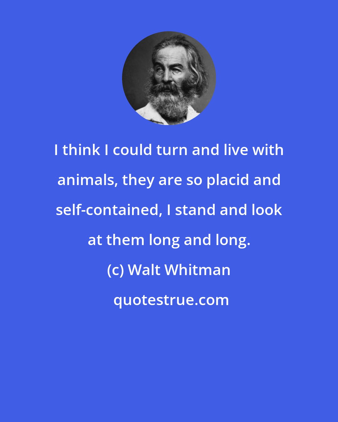 Walt Whitman: I think I could turn and live with animals, they are so placid and self-contained, I stand and look at them long and long.